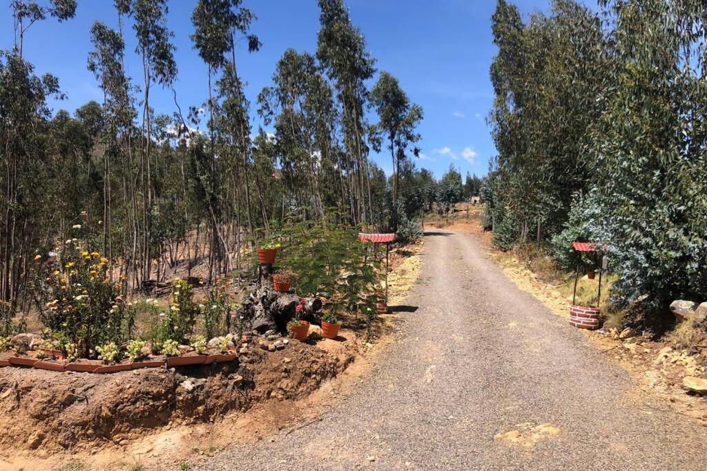 CABAÑA BUENAVISTA es un lugar para descansar.