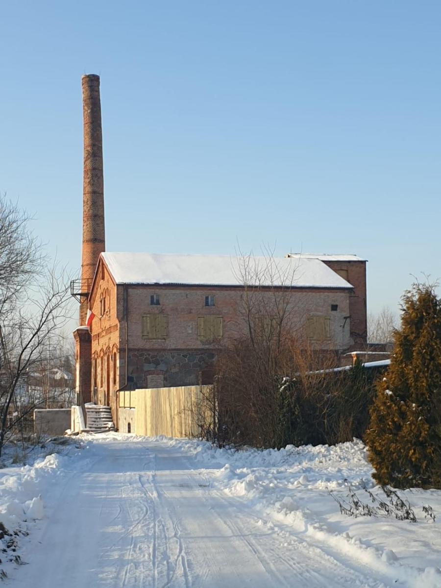 Photo 19