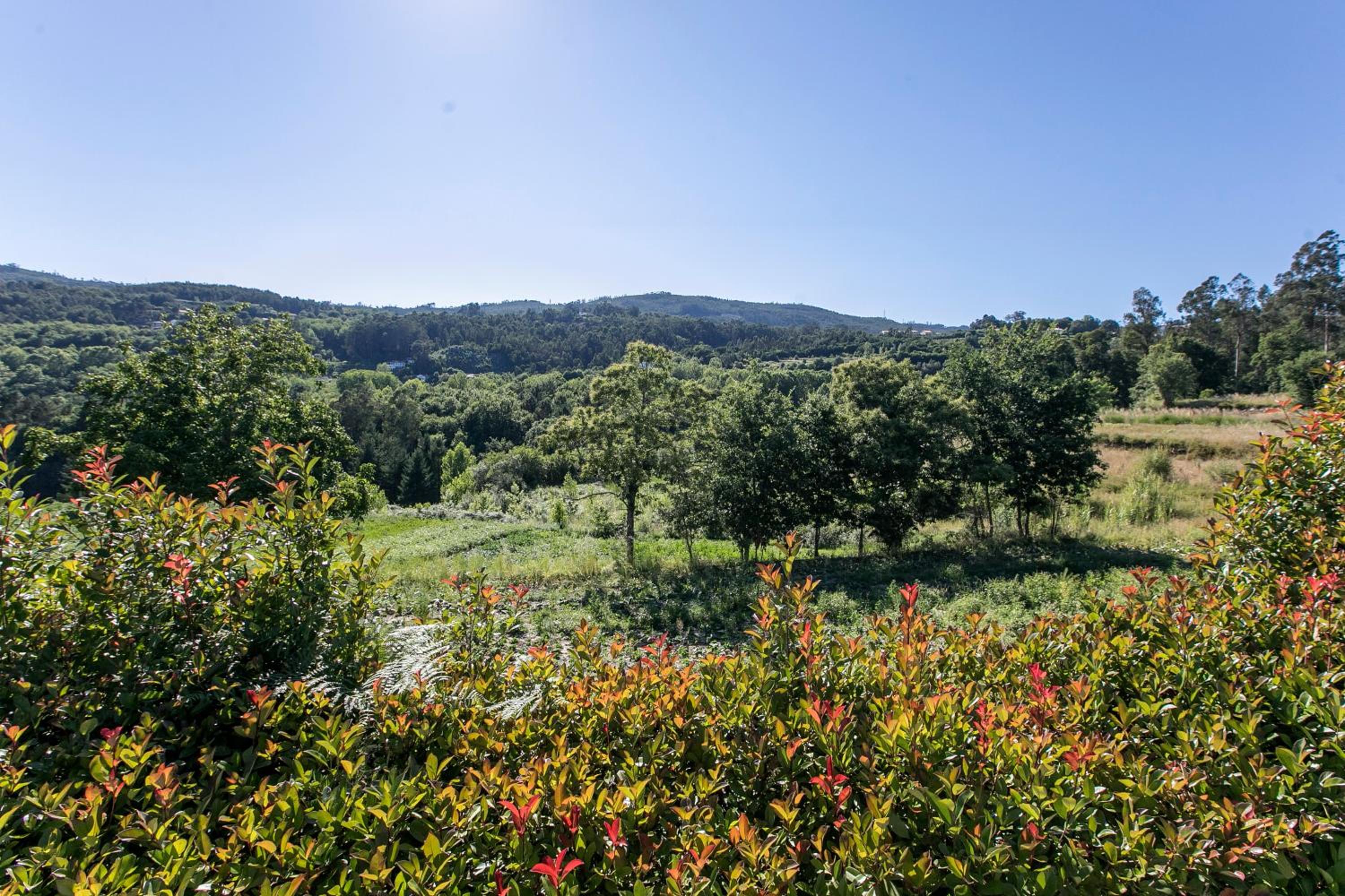 PRIVATE VILLA - Penafiel - Abragão view 3