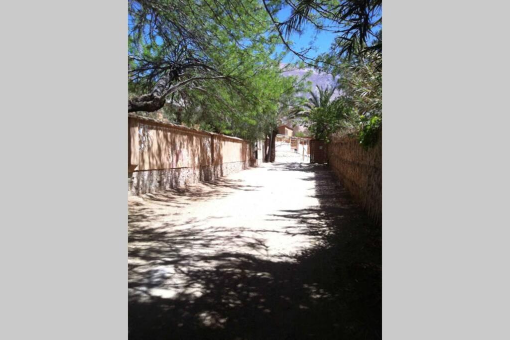 La Casa entre los Árboles en el Valle de Elqui Montegrande
