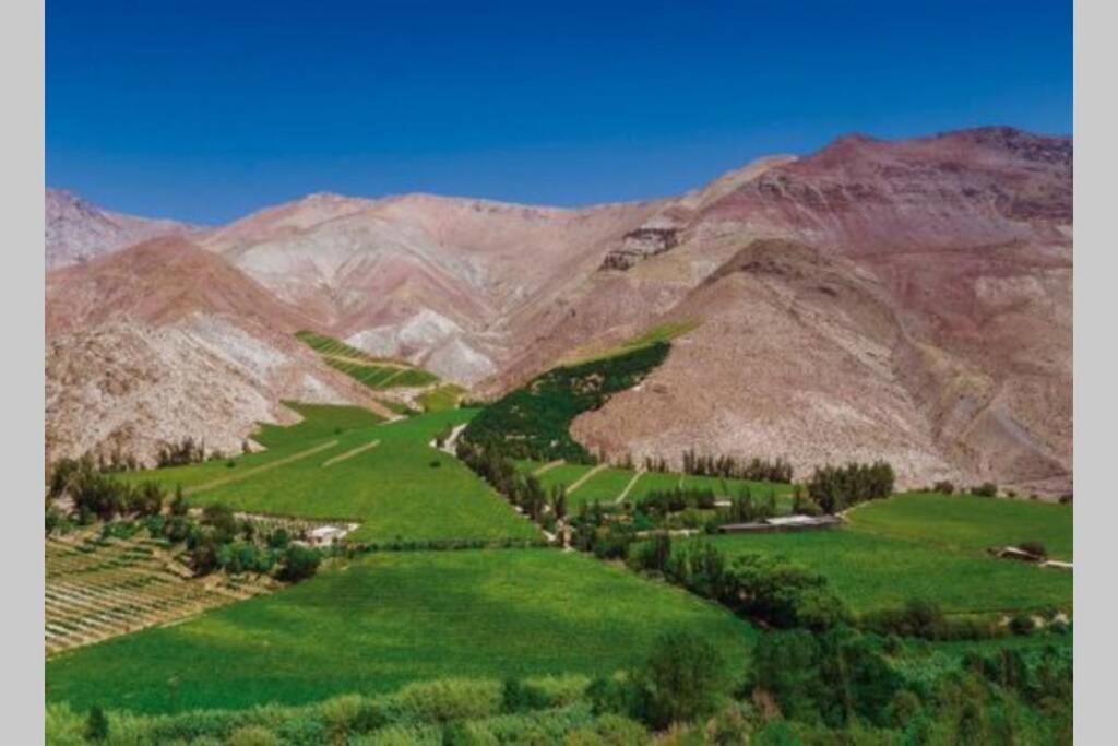 La Casa entre los Árboles en el Valle de Elqui Montegrande