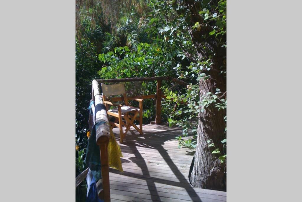 La Casa entre los Árboles en el Valle de Elqui Montegrande