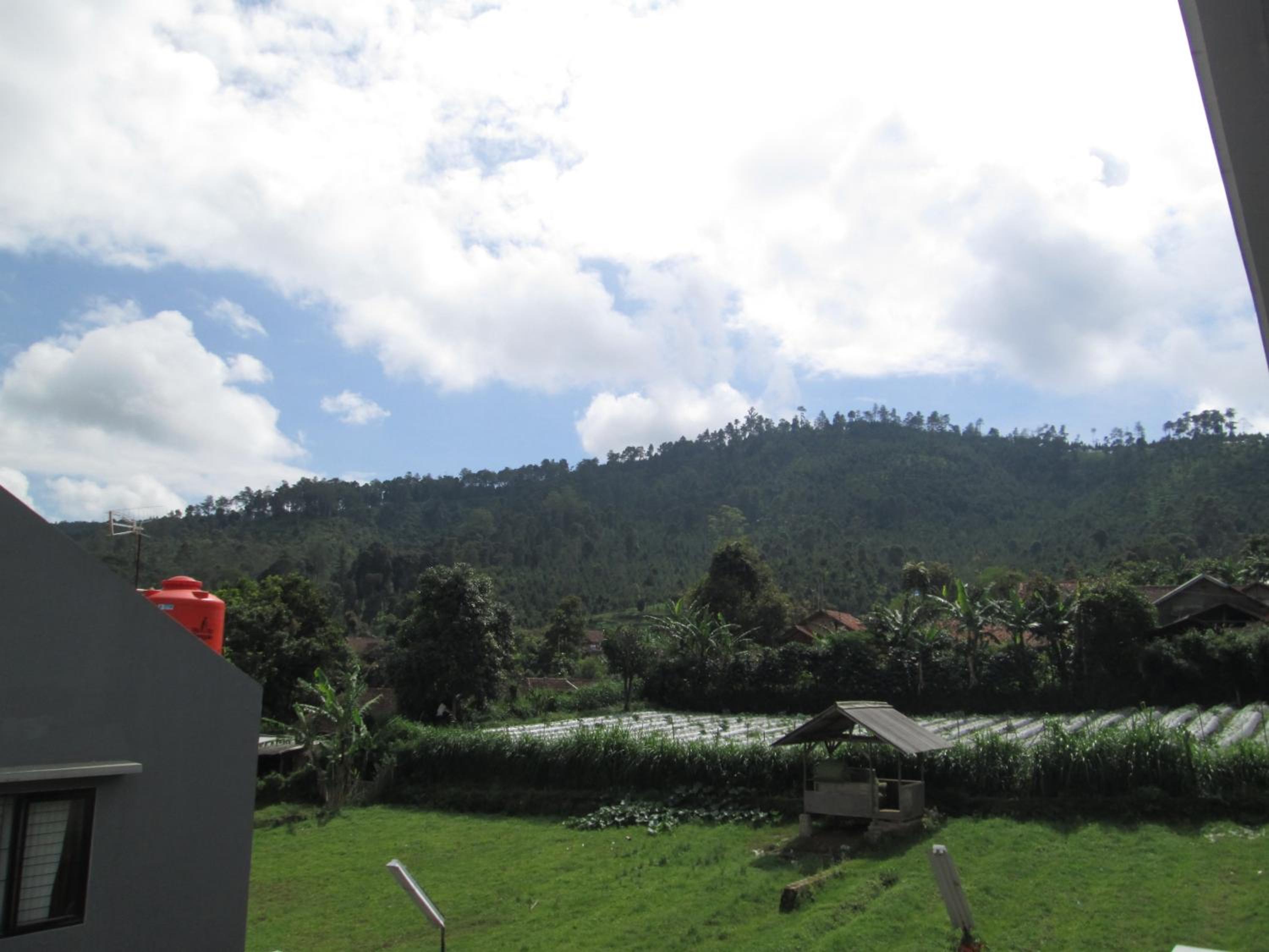 Osmond Villa Resort