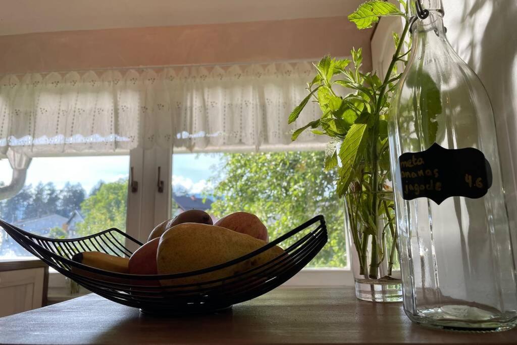 Grandma's House view 4