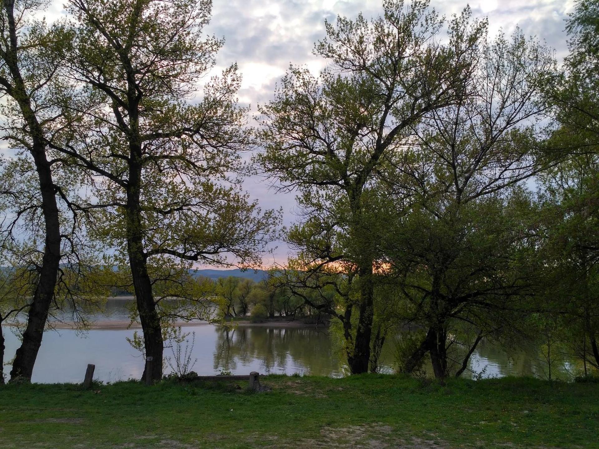 Photo 33