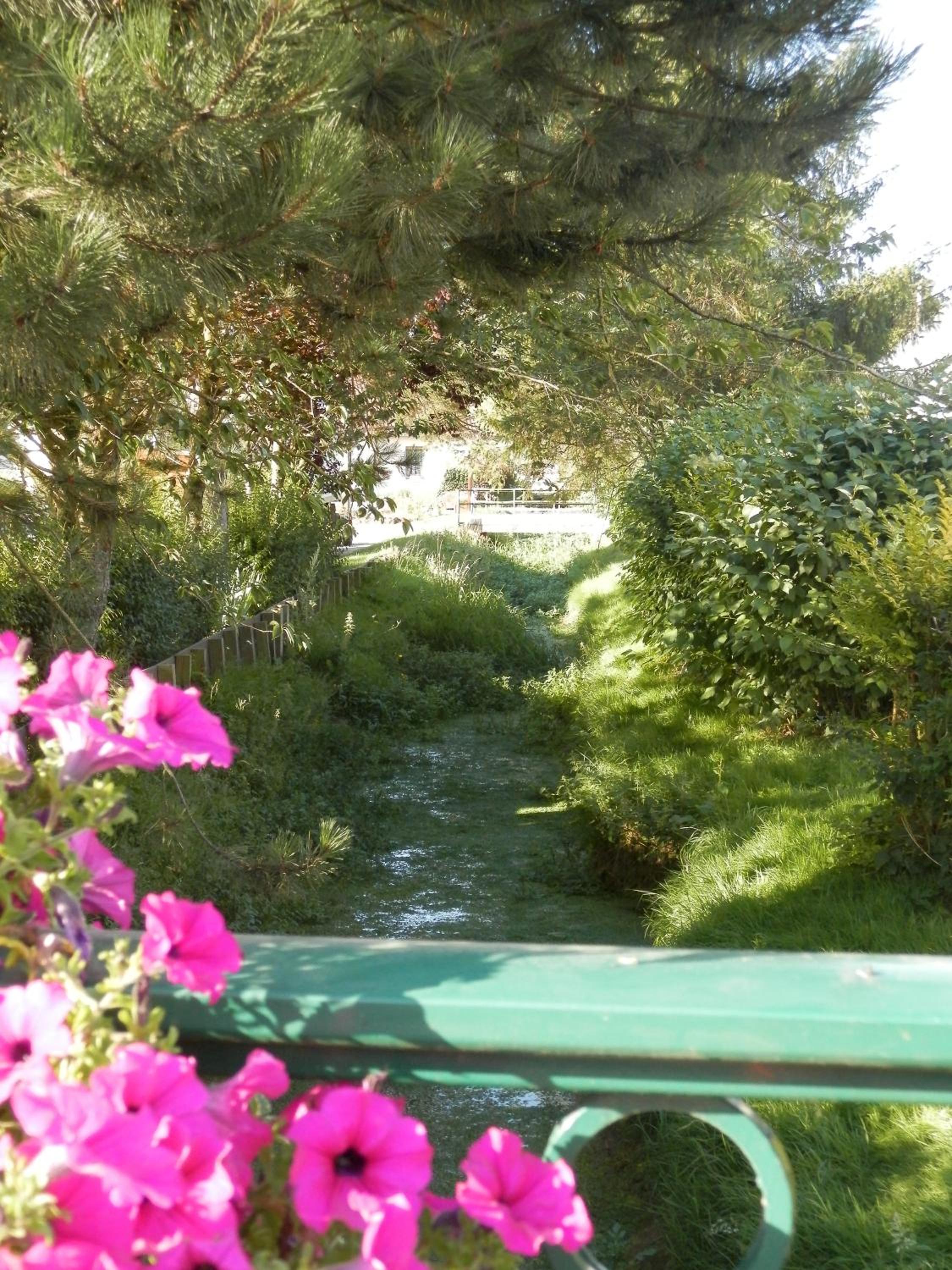 Photo 47