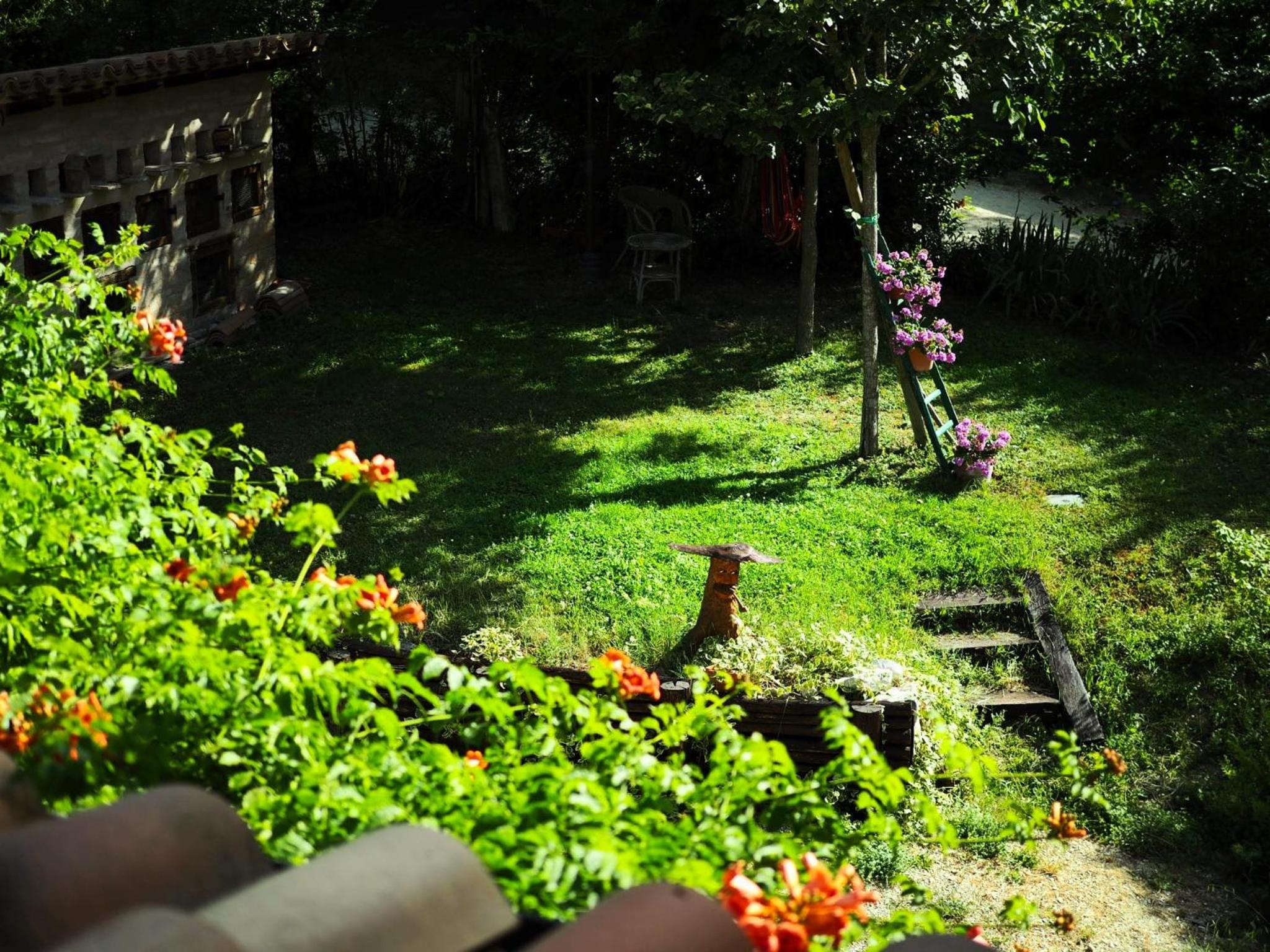 Photo 10