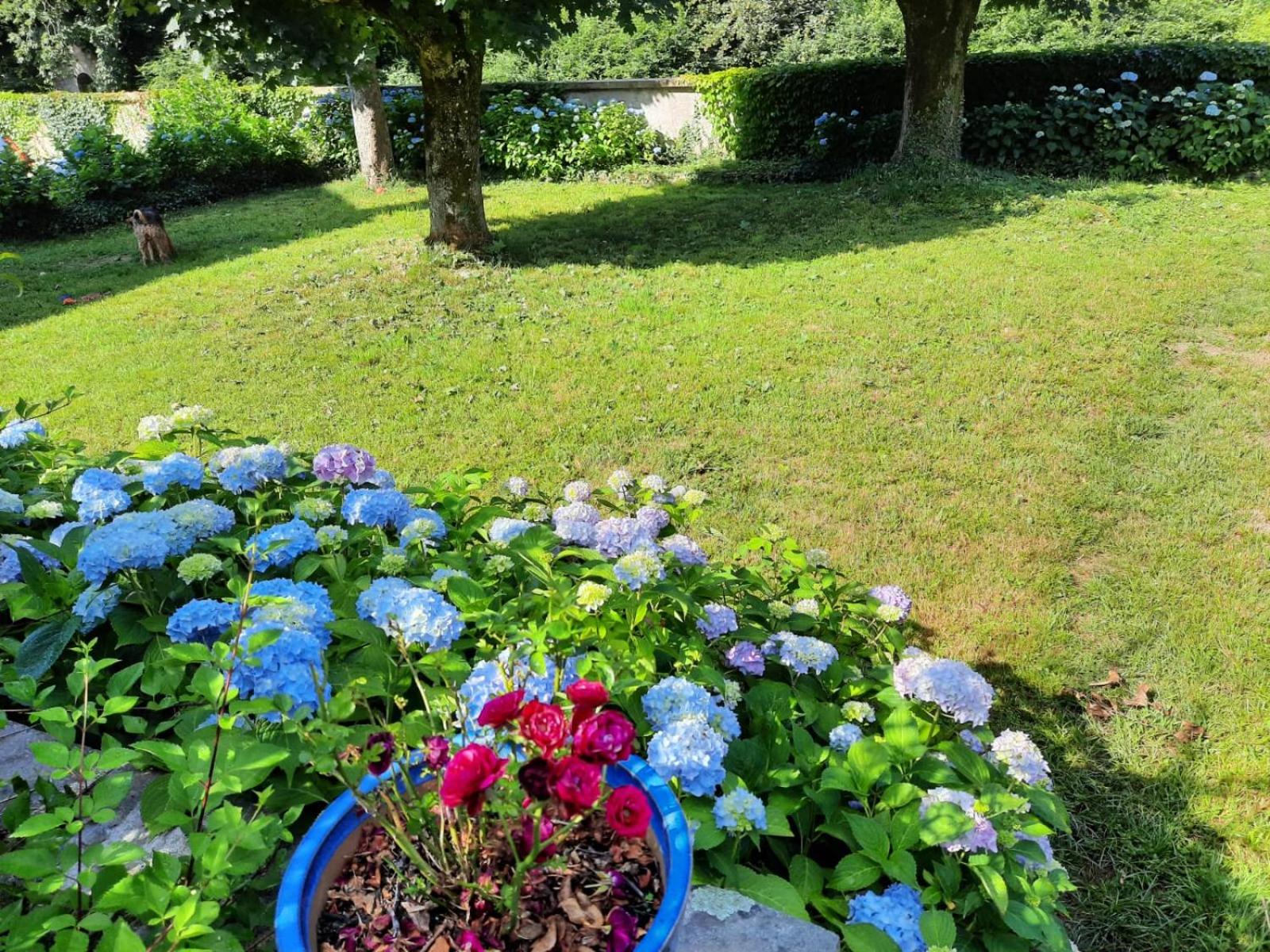Photo 26