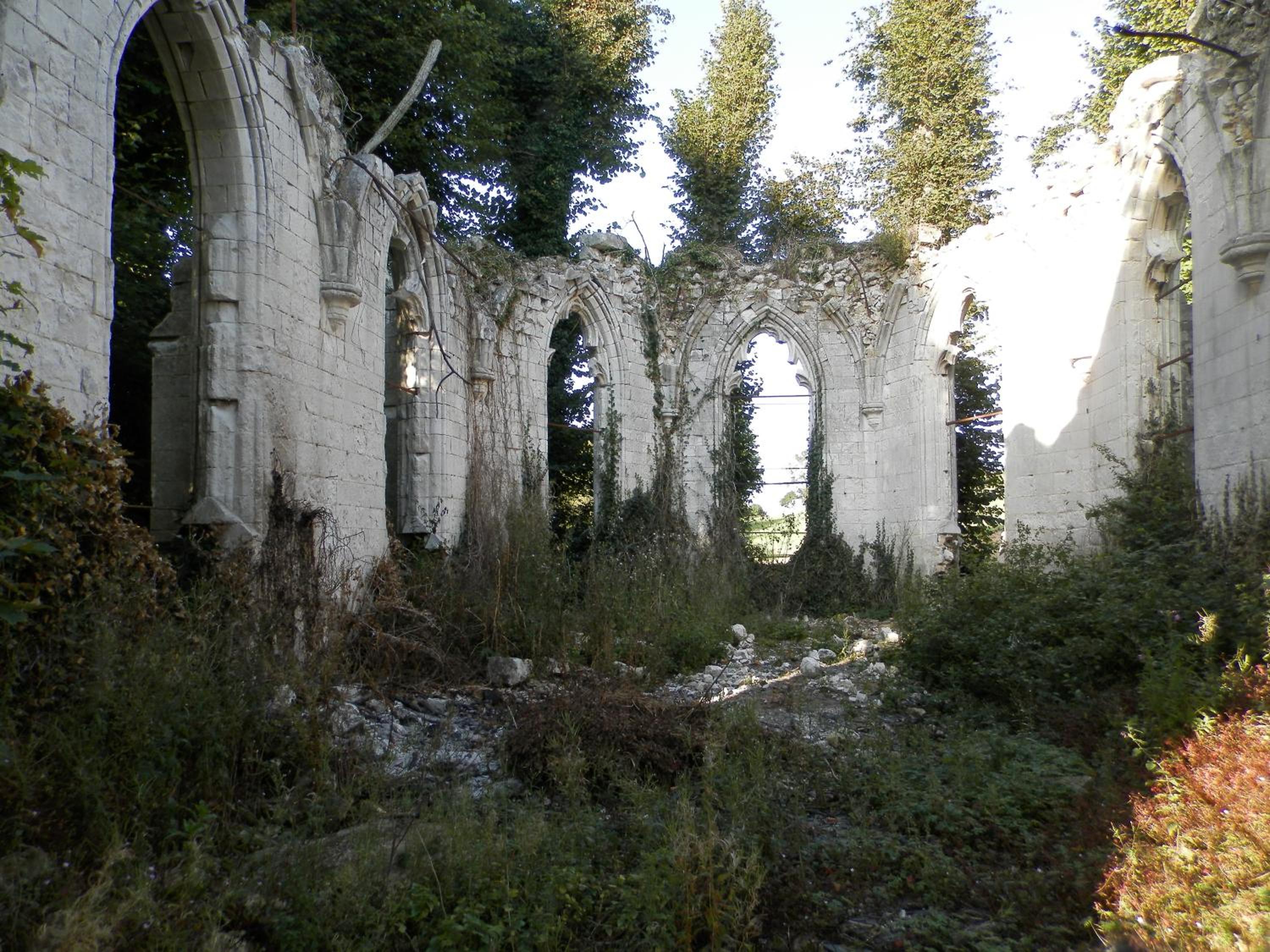 Photo 48