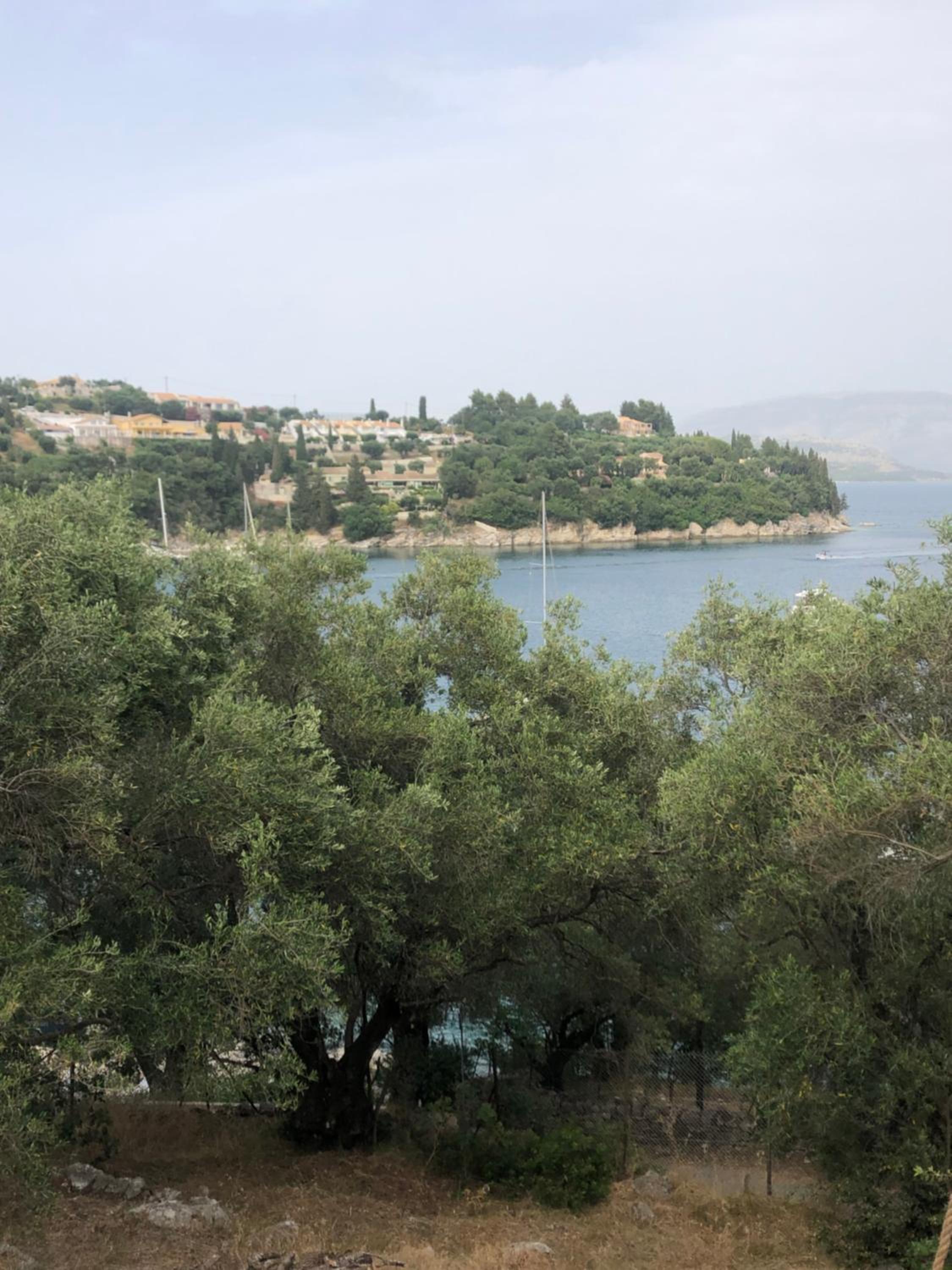 Photo 30