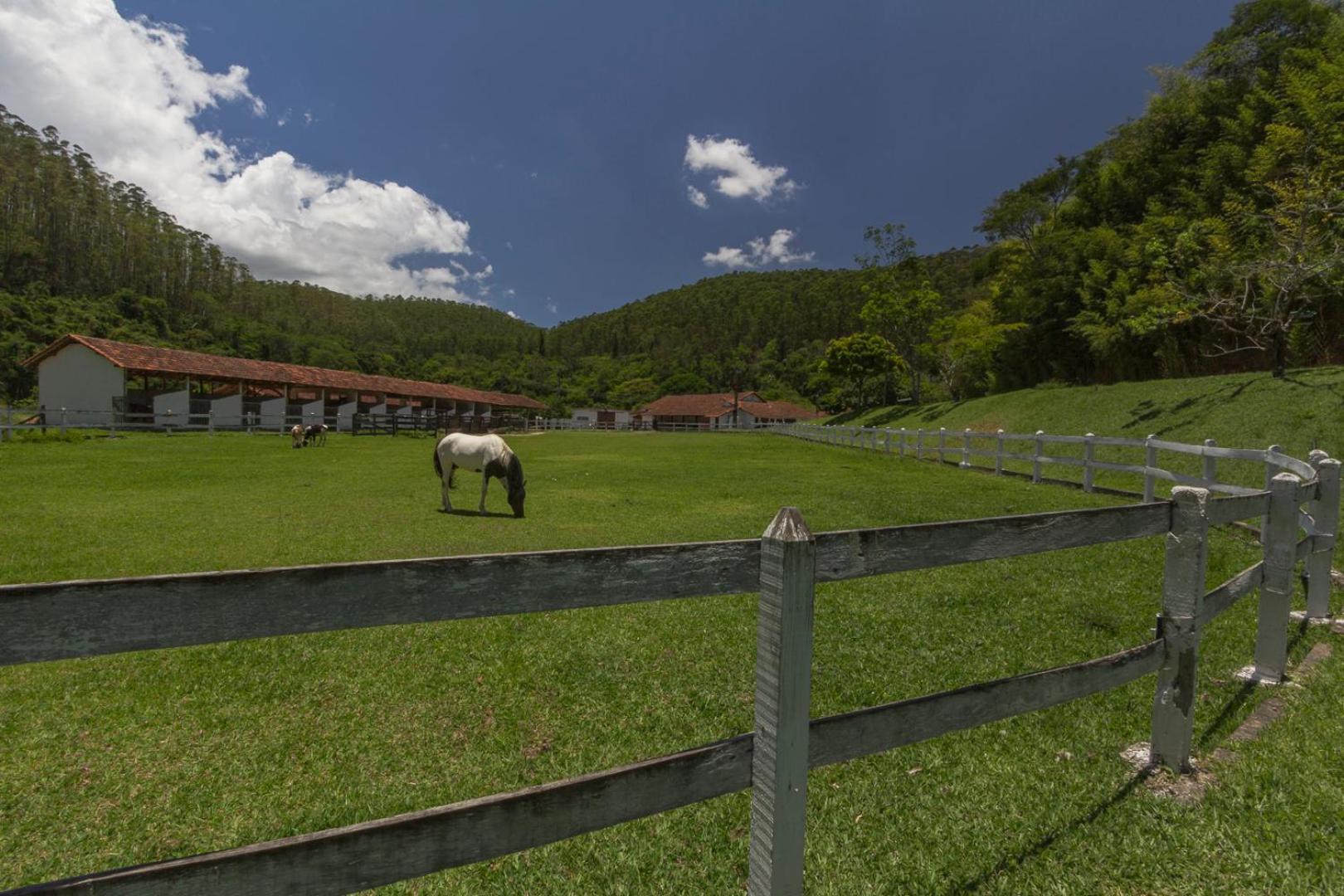Resort Fazenda 3 Pinheiros