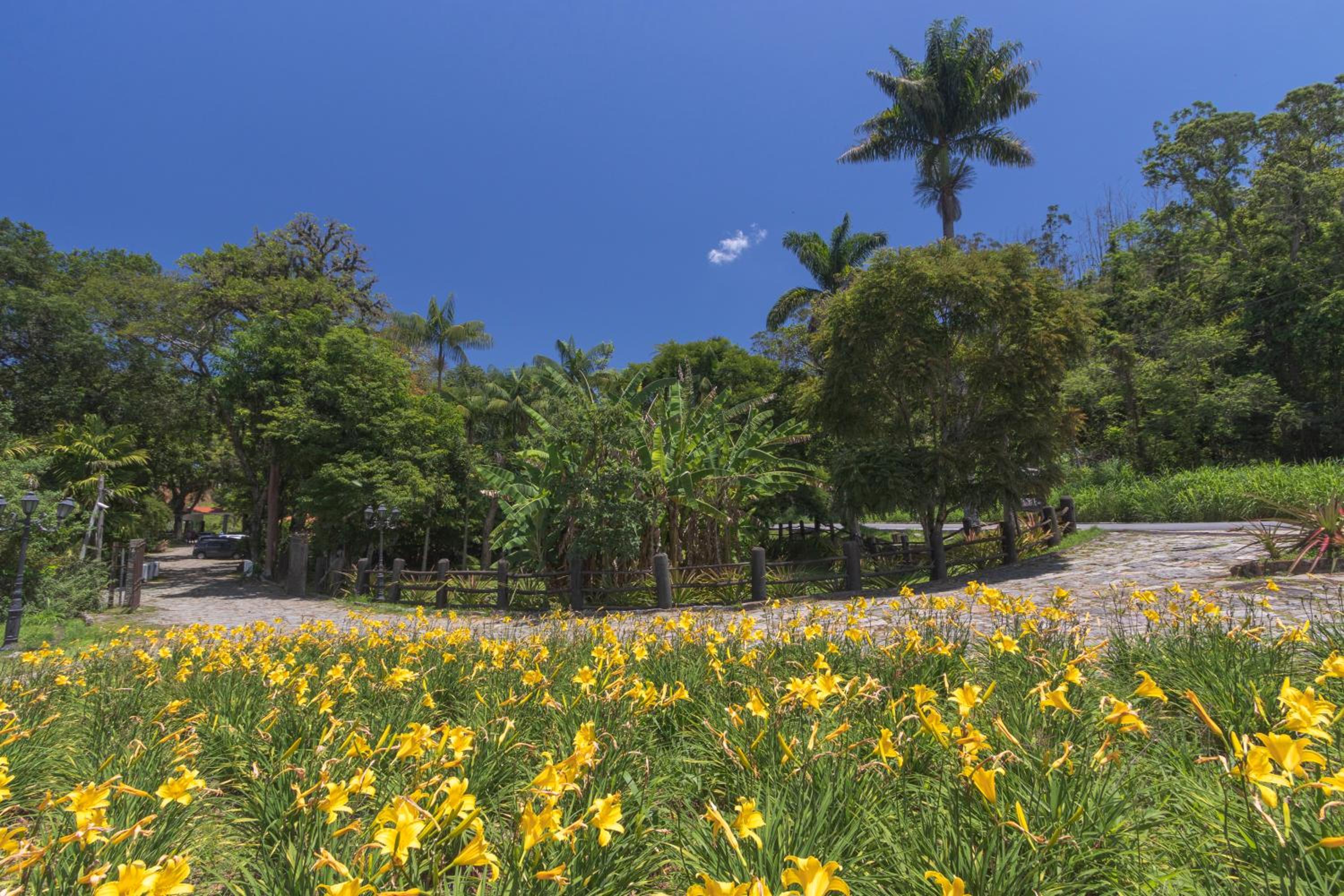 Resort Fazenda 3 Pinheiros
