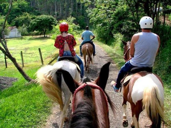 Resort Fazenda 3 Pinheiros
