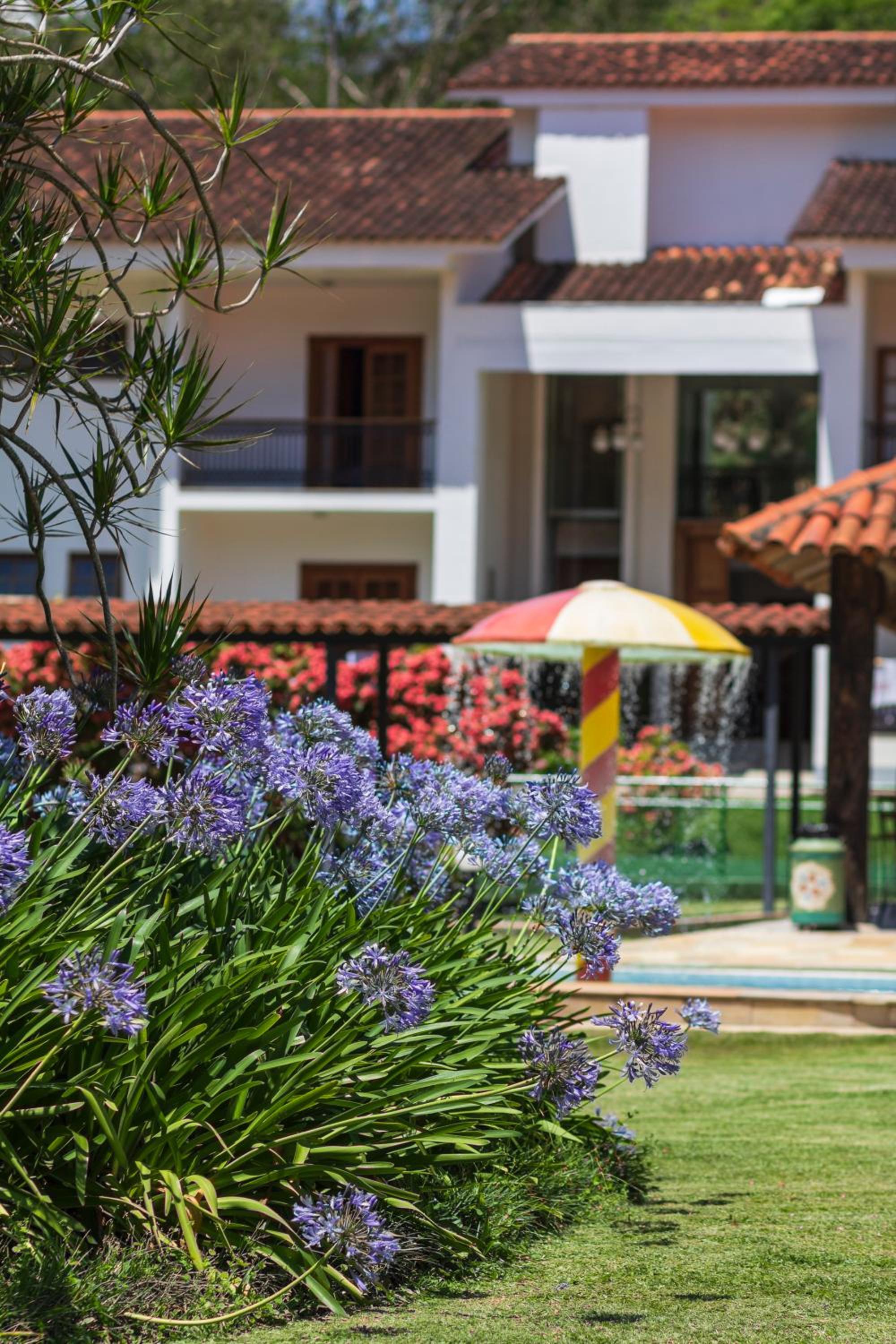 Resort Fazenda 3 Pinheiros