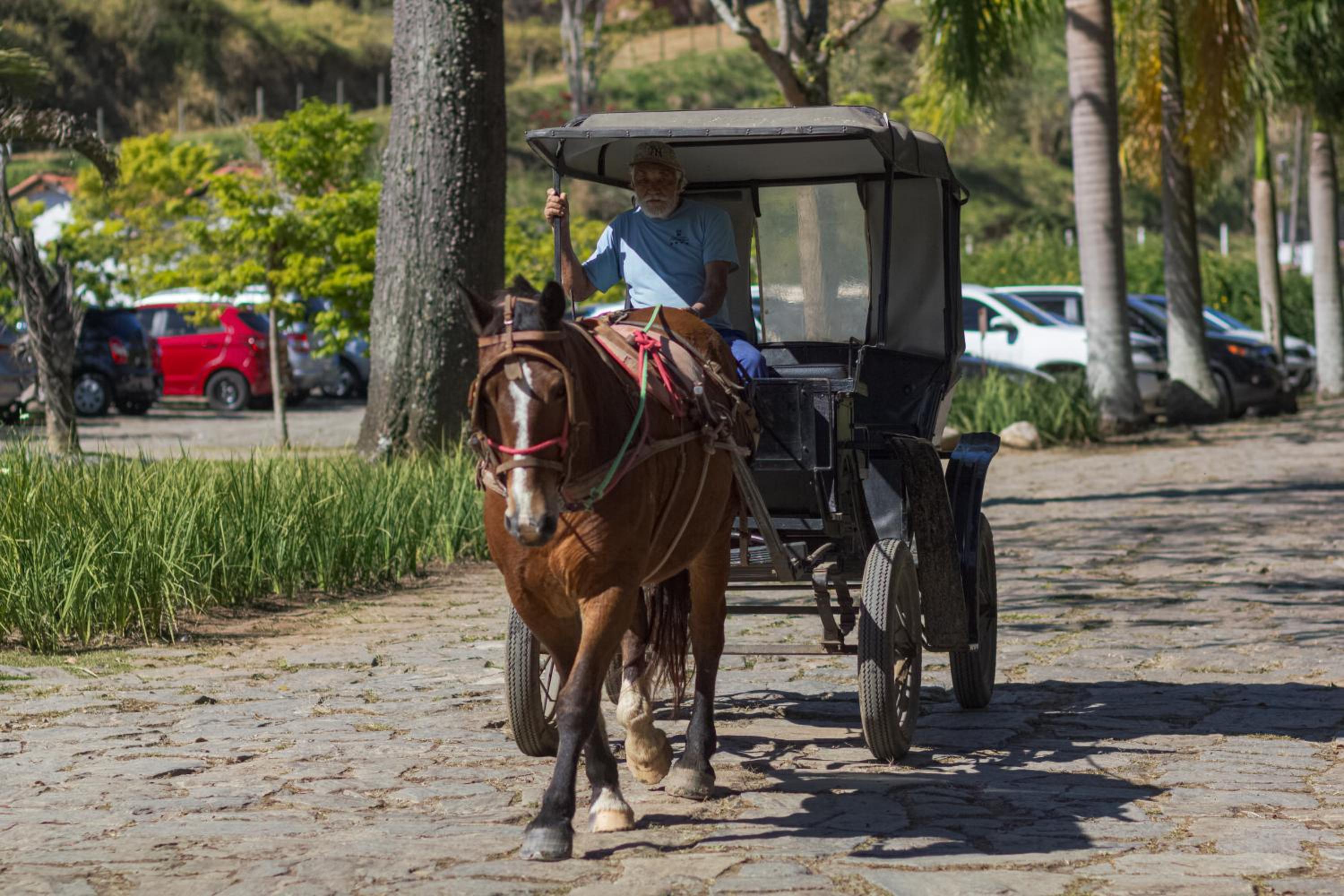 Resort Fazenda 3 Pinheiros