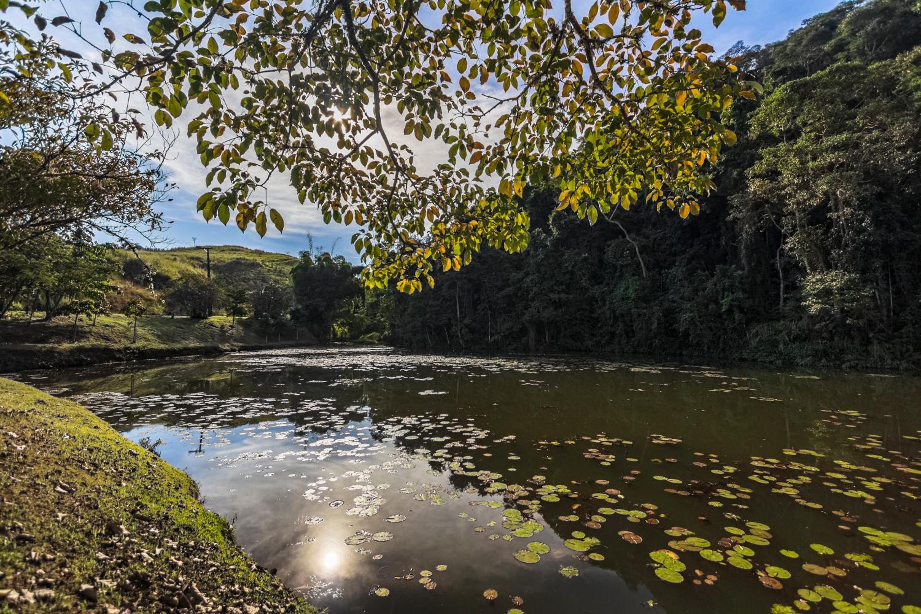 Resort Fazenda 3 Pinheiros