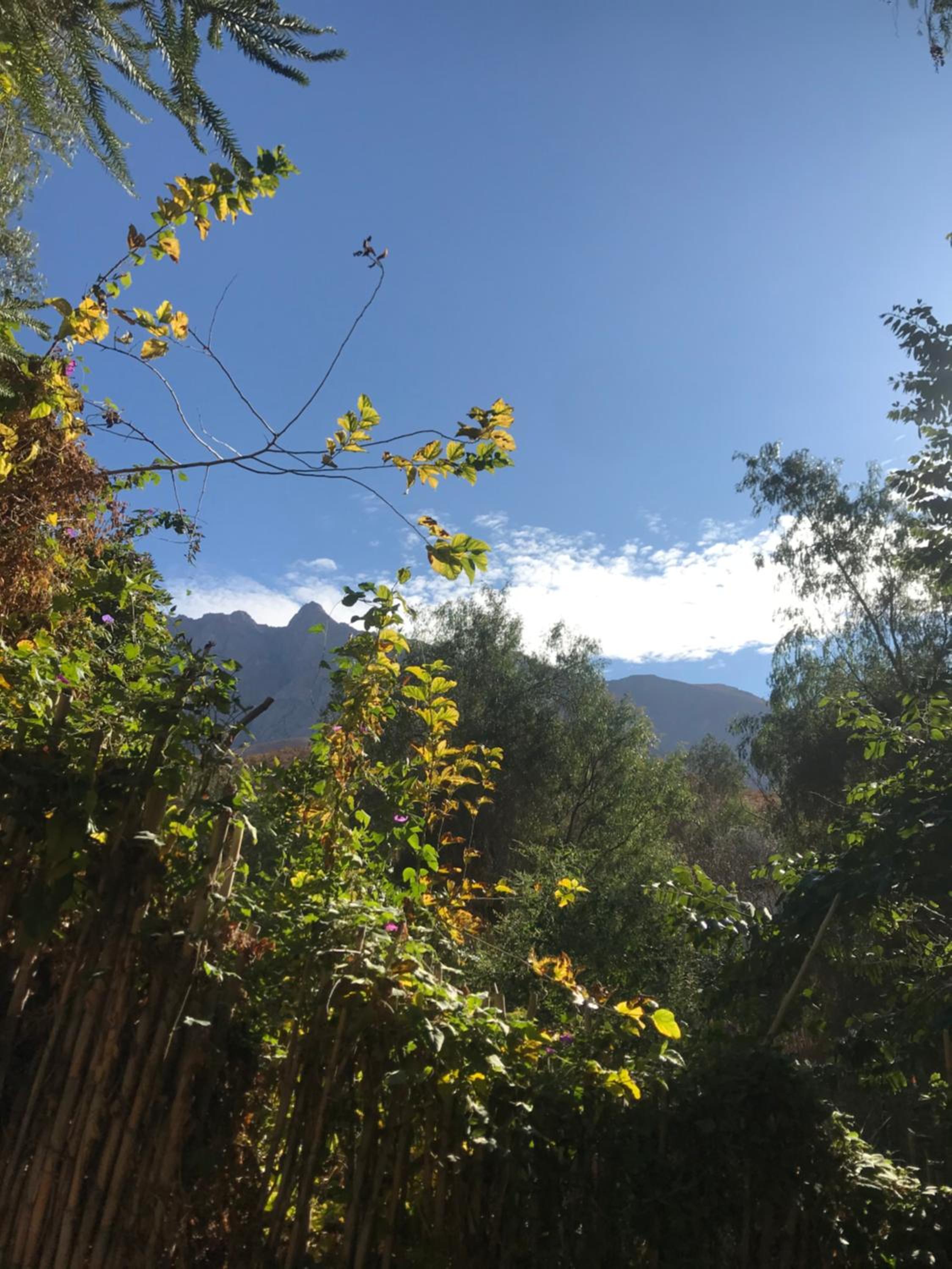 La Casa entre los Árboles en el Valle de Elqui Montegrande
