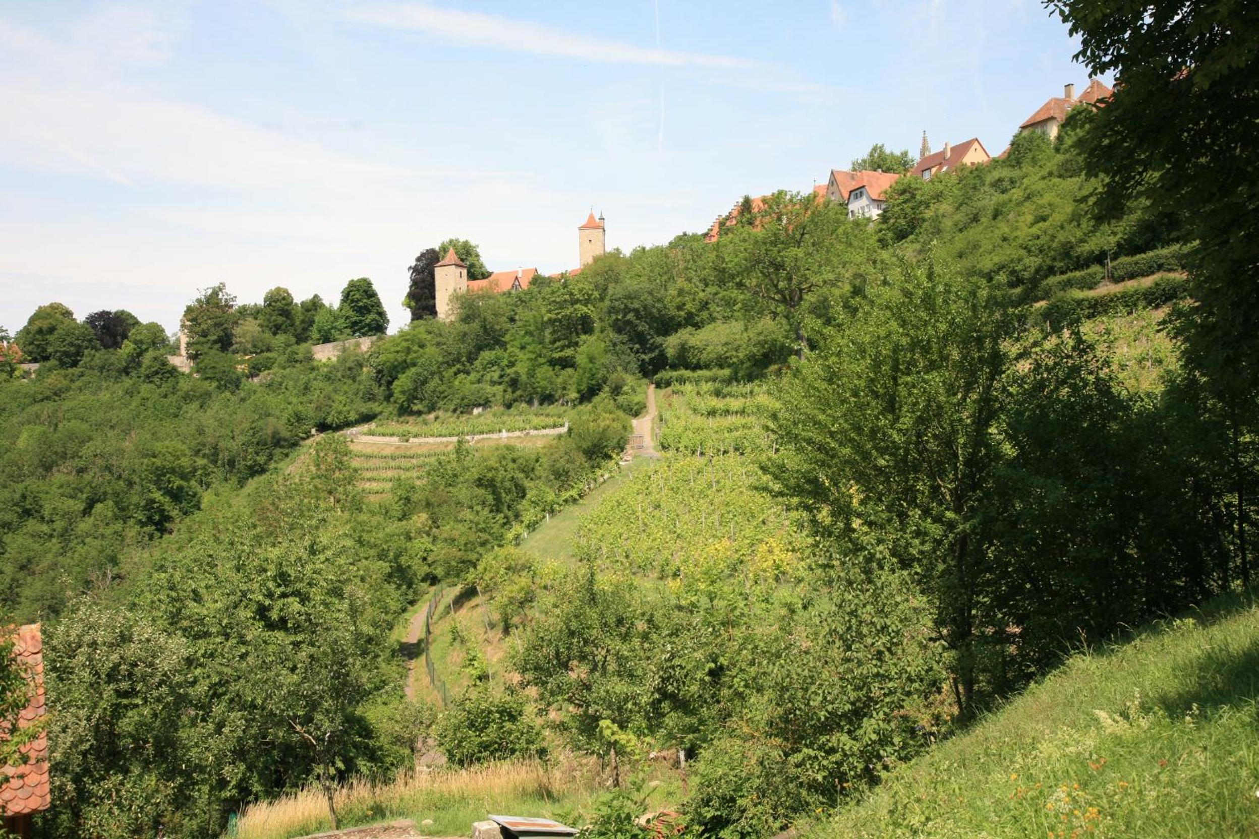 Glocke Weingut und Hotel view 5