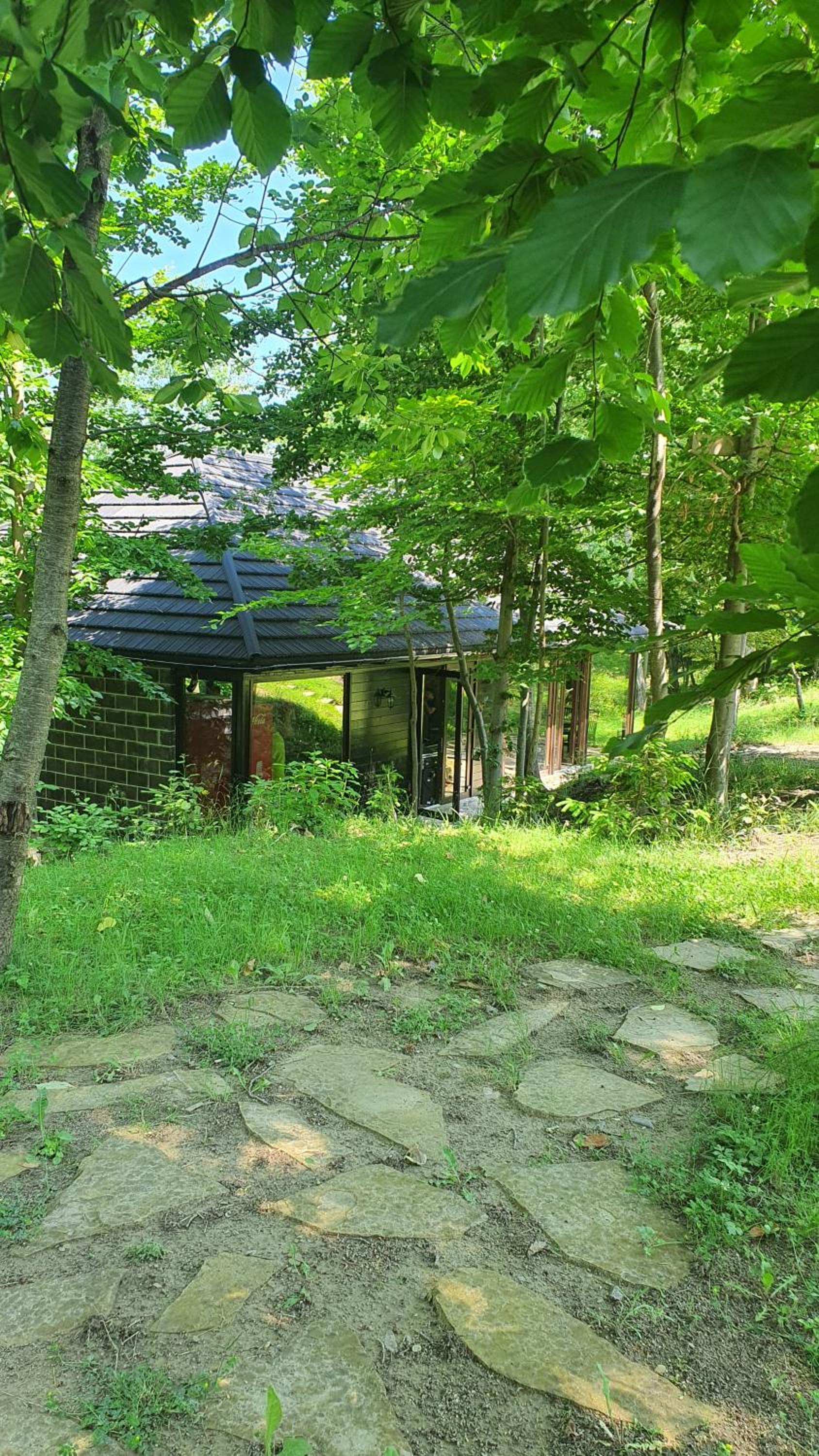 Vatra Boiereasca