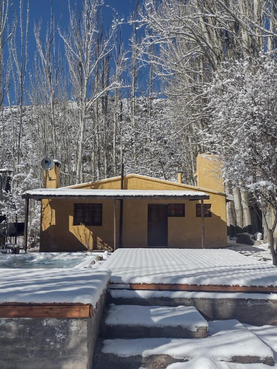 Cabaña Pura Vida