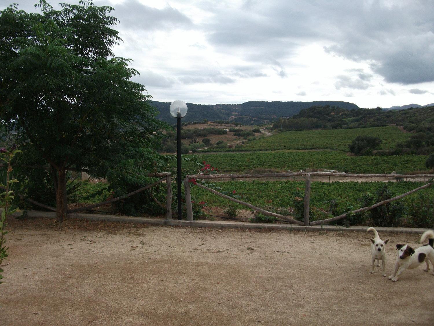 Photo 52