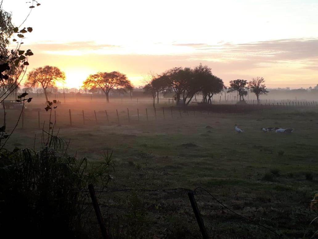 Cabañas Los Girasoles