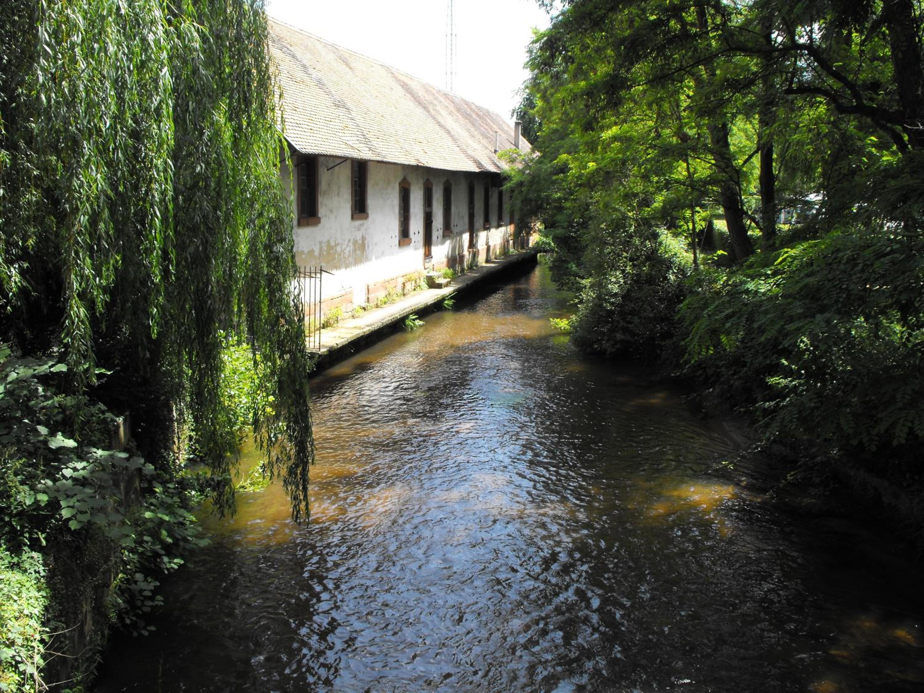 Hôtel d'Alsace, hotel en Wissembourg, Francia