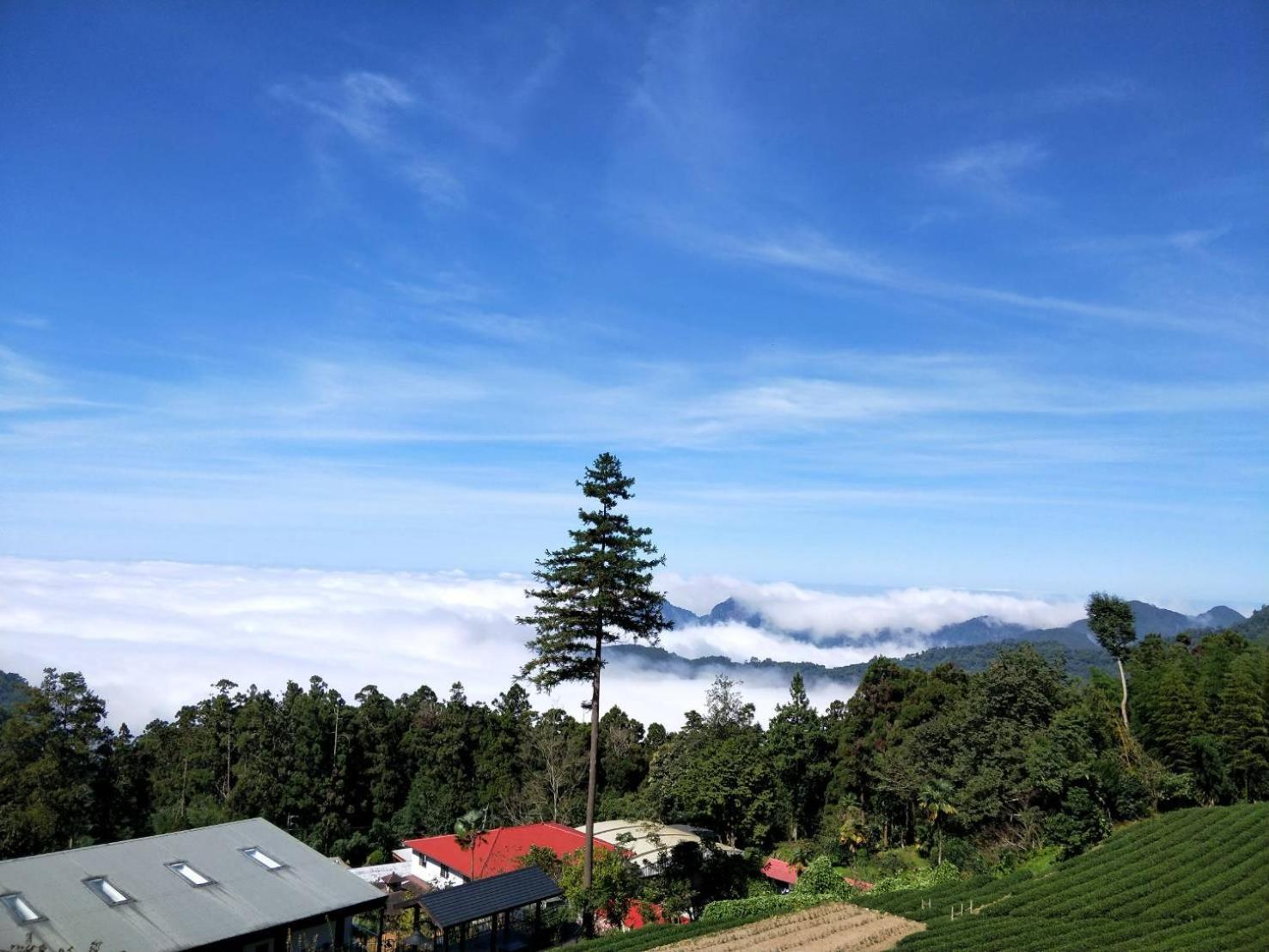 Long Yun Leisure Farm