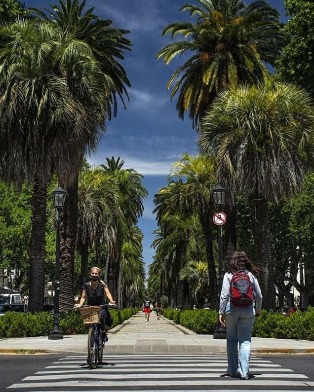 Cálido y hermoso Dpto. en excelente zona de Rosario