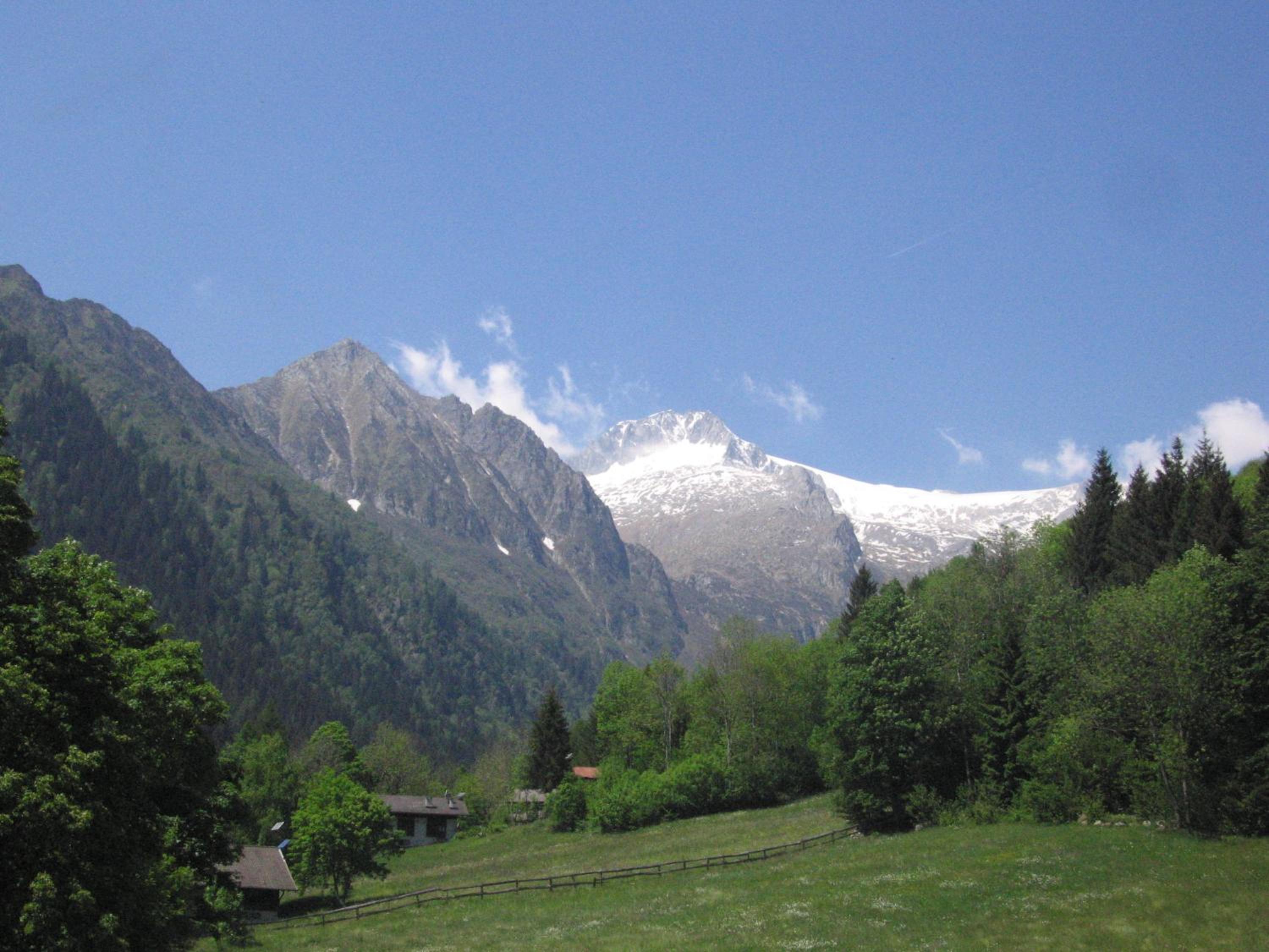Photo 37