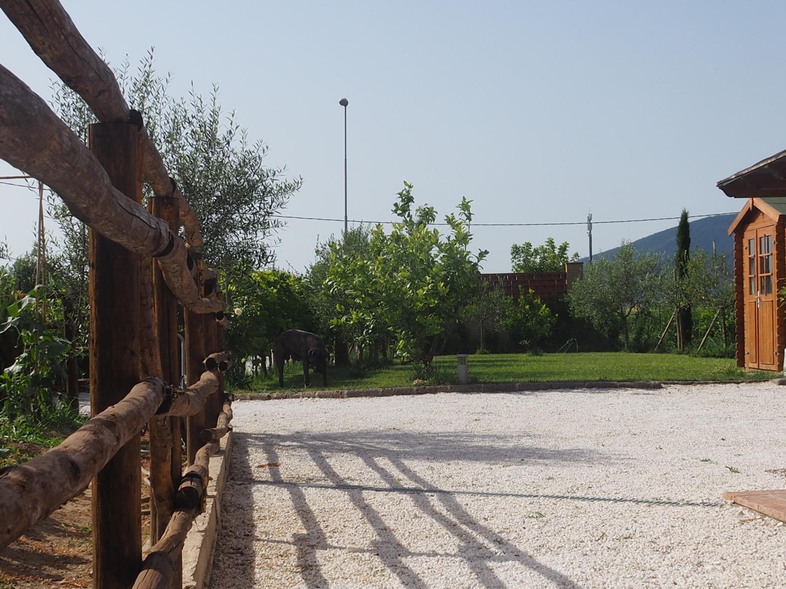 Photo 8