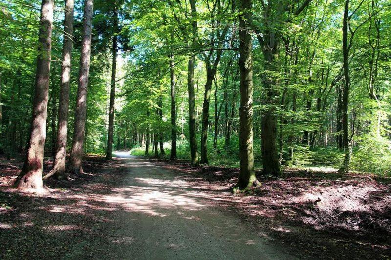 Chalet 't Veluws stulpje "GENIET, ONTSPAN EN DROOM EVEN LEKKER WEG!" view 4