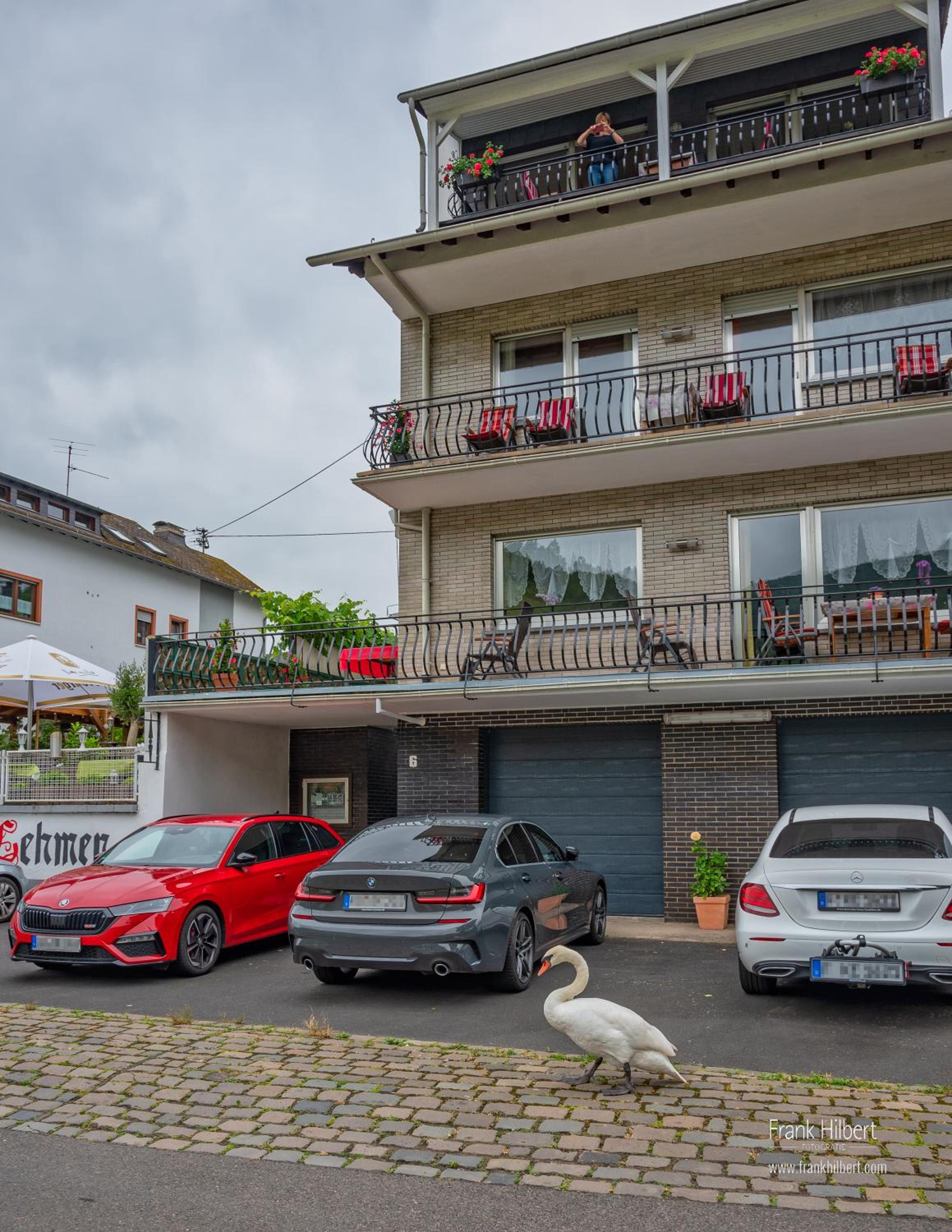 "Ferienhaus An der Mosel" view 2