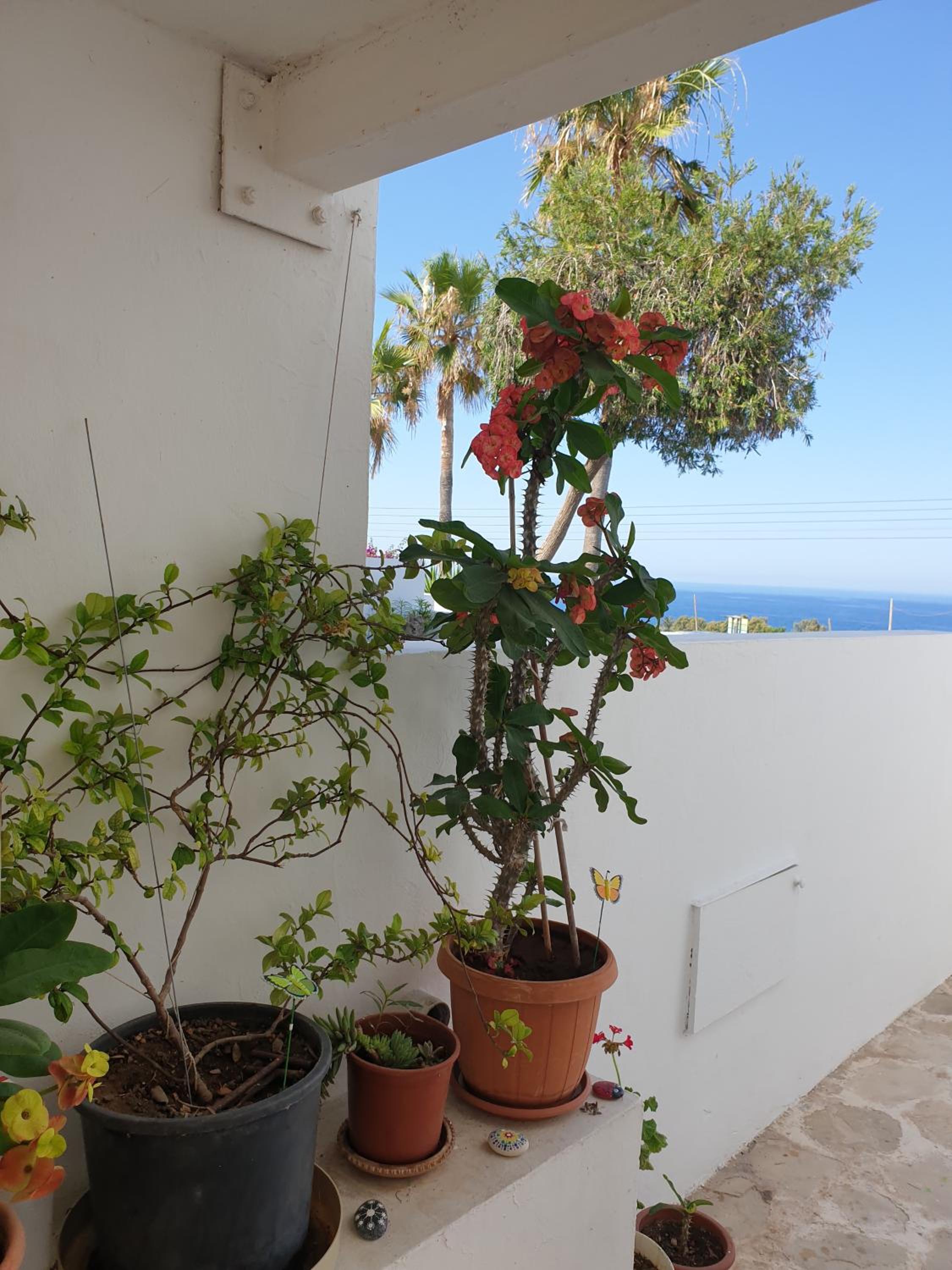 Paphos Vacations - Ikaria Village Maisonette 12 - Property Image 16