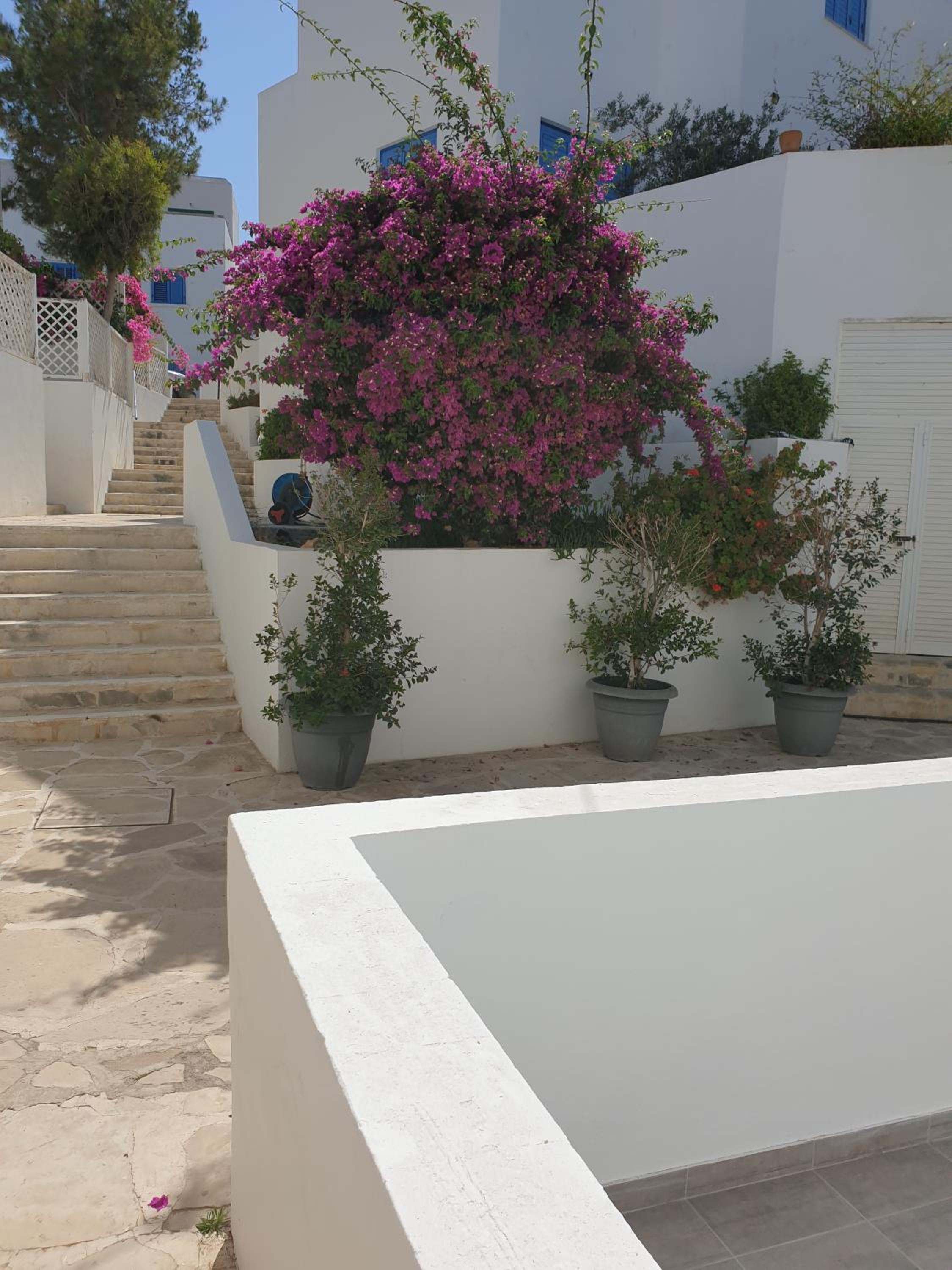 Paphos Vacations - Ikaria Village Maisonette 12 - Property Image 13