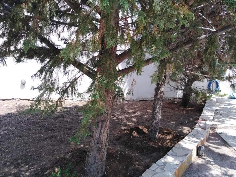 Treasure B&B - Garden Stay in Paloukia Salamina view 4