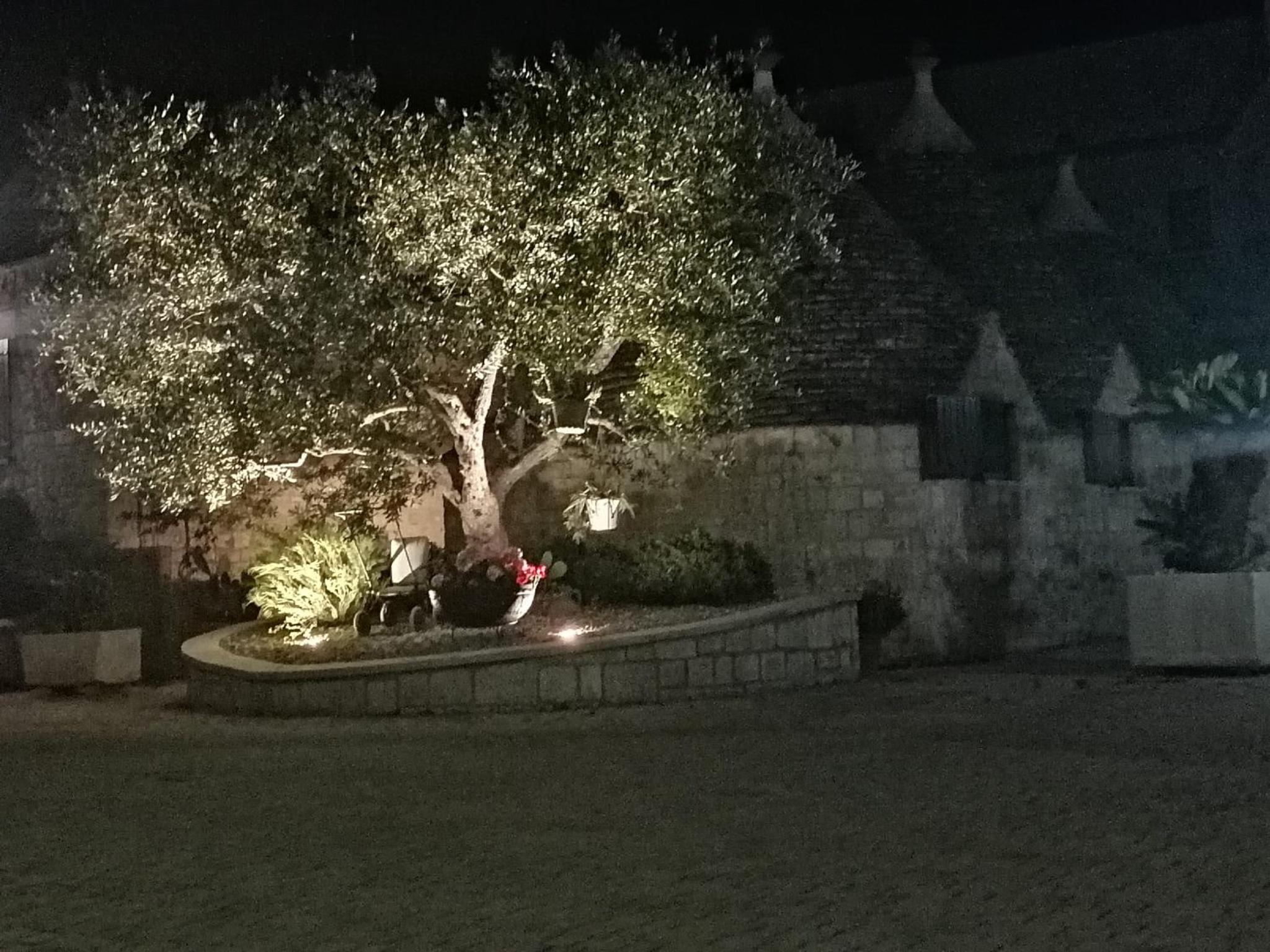 Trullo Paesano photo 2