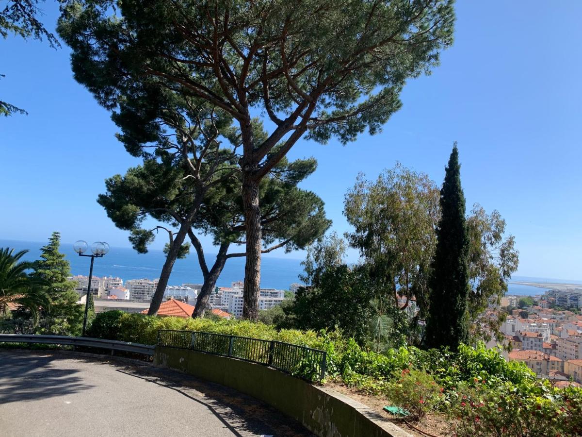NICE, GRAND STUDIO - PISCINE - TERRASSE VUE MER photo 4