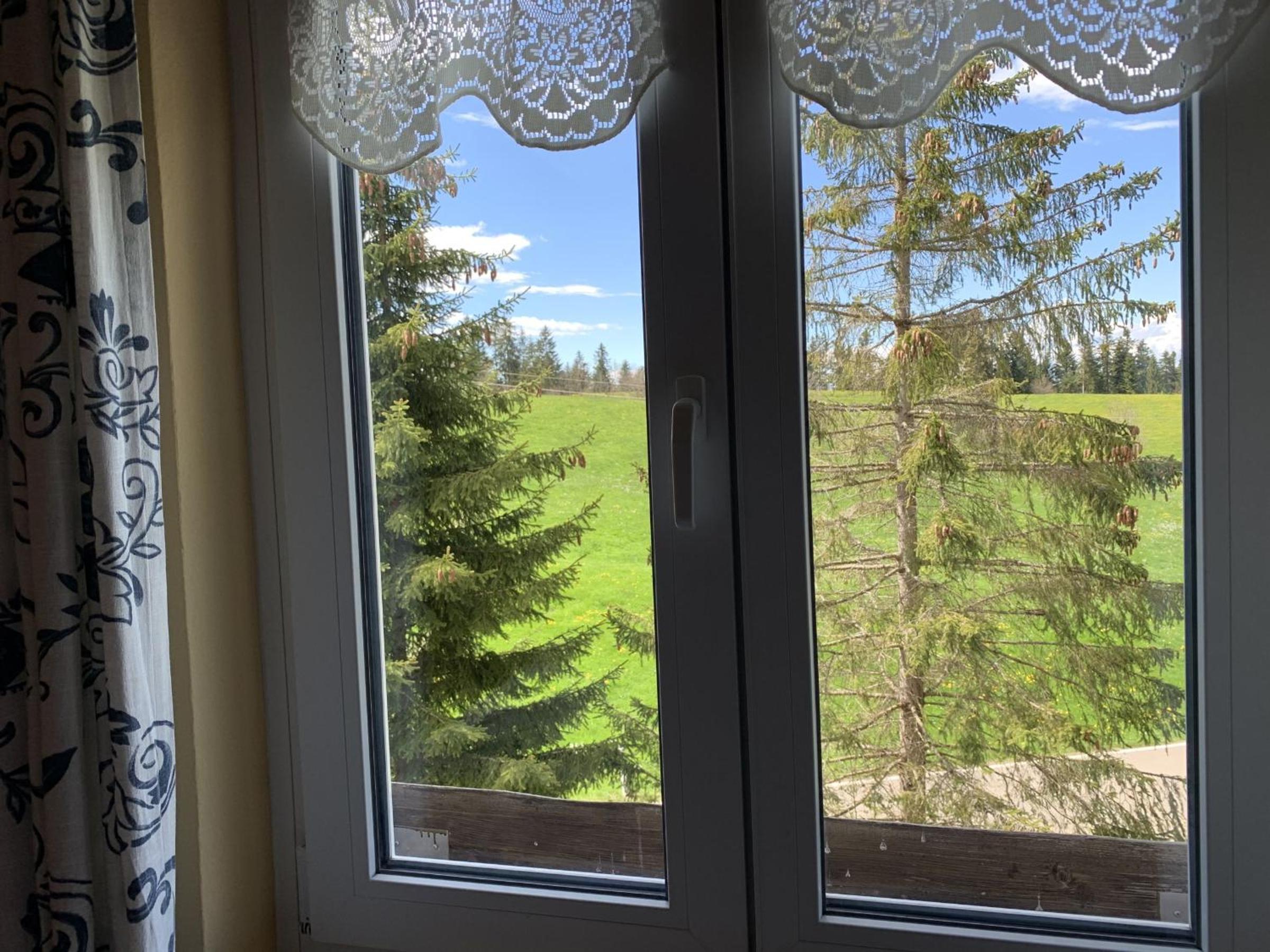 Kraichgauer Haus view 2