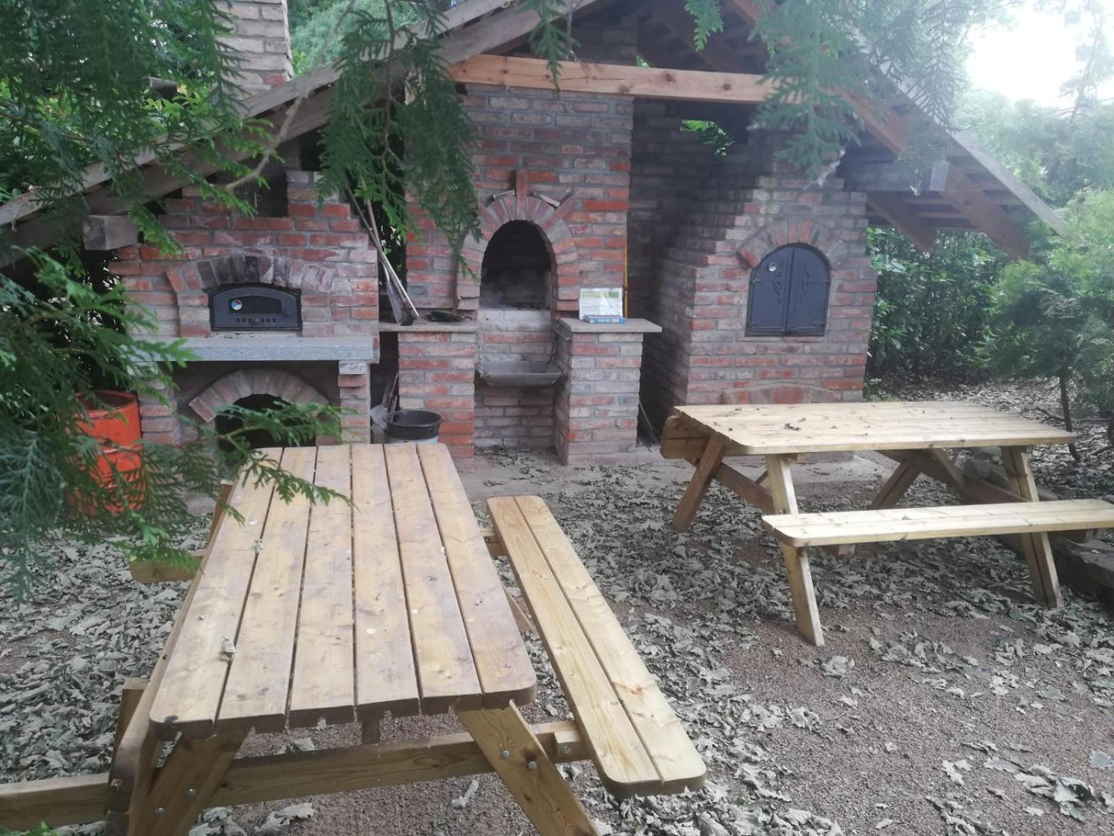 Photo 31
