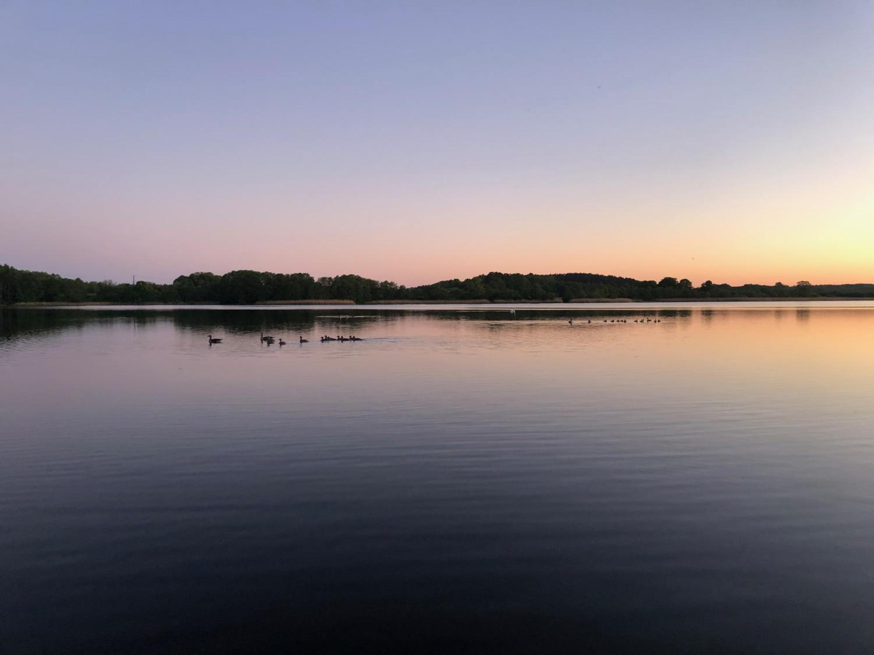 Haus am See mit Steg, Boot, Kamin und Sauna - Mecklenburgische Seenplatte