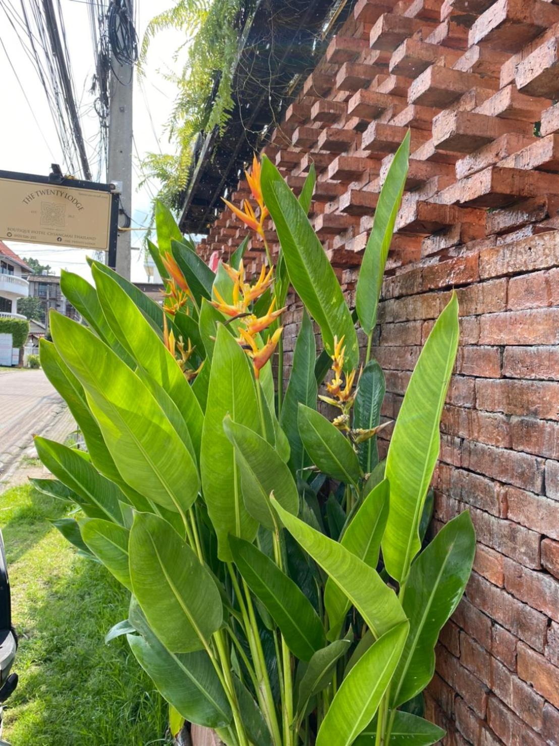 The Twenty Lodge 照片第 114 張,共 157 張
