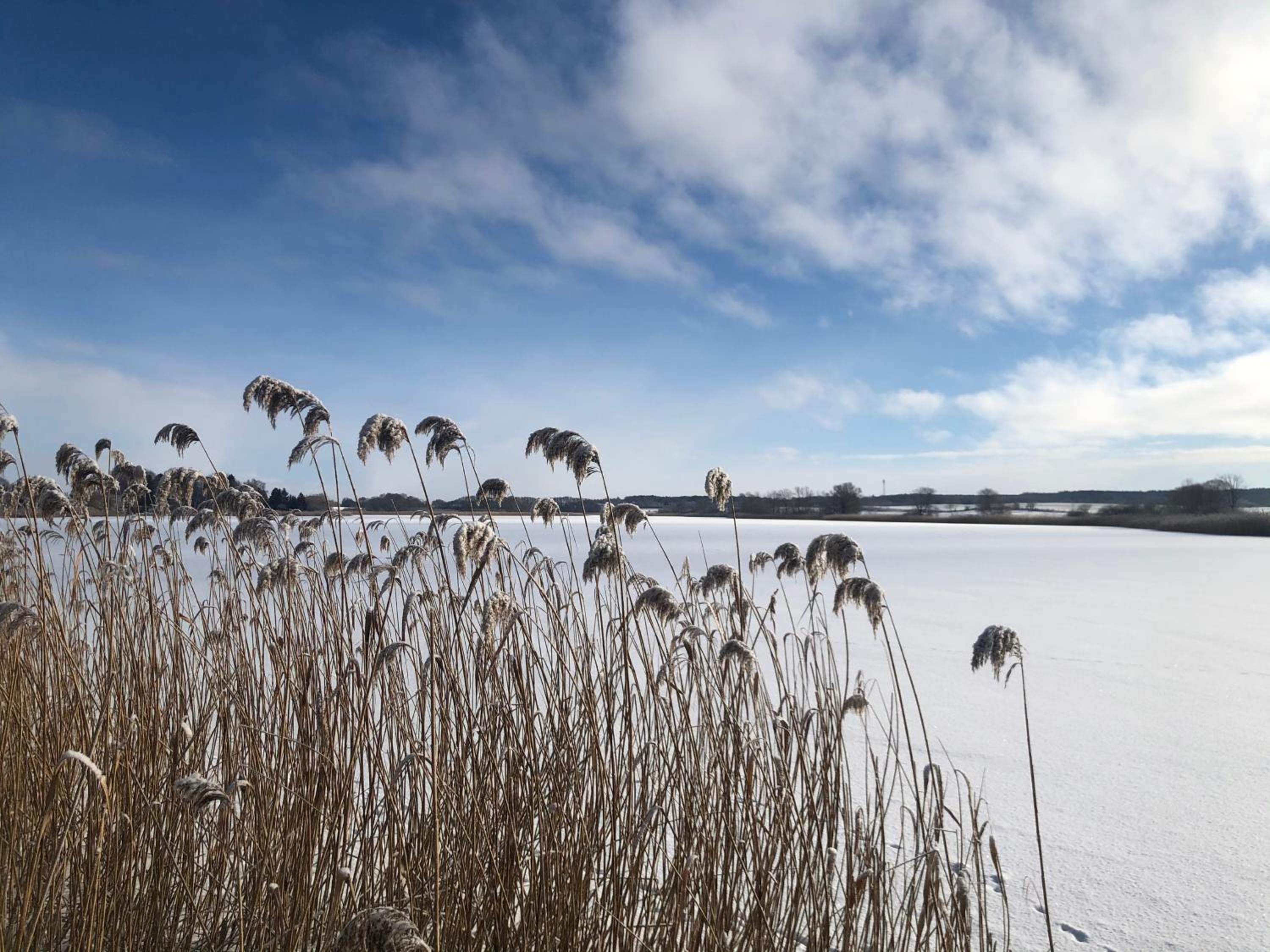 Haus am See mit Steg, Boot, Kamin und Sauna - Mecklenburgische Seenplatte