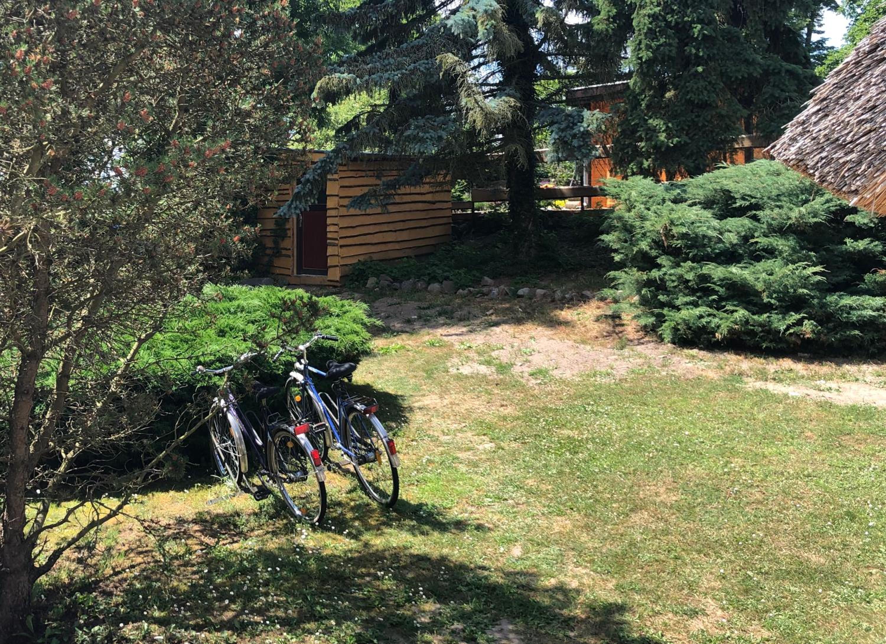 Haus am See mit Steg, Boot, Kamin und Sauna - Mecklenburgische Seenplatte