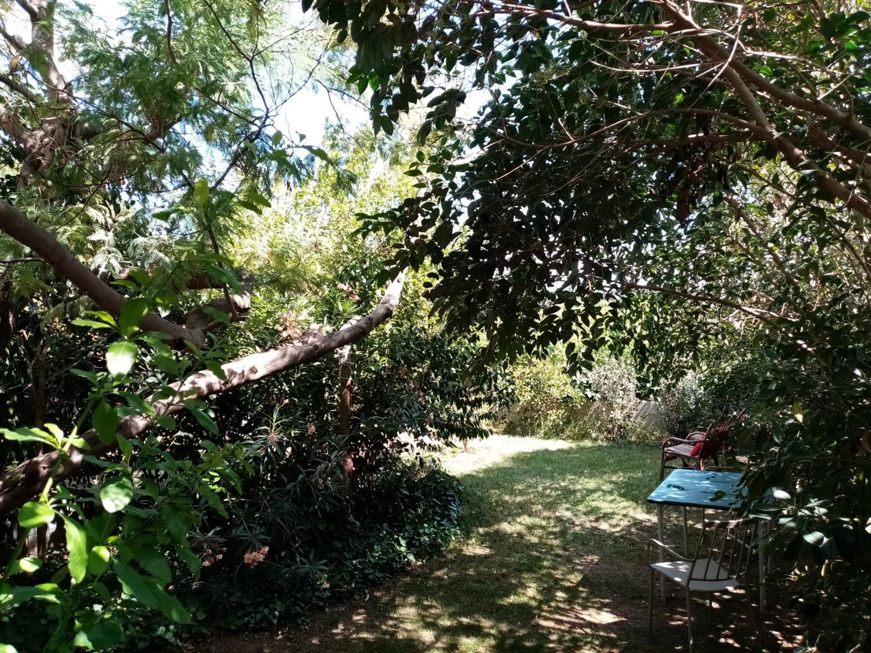 Photo 38