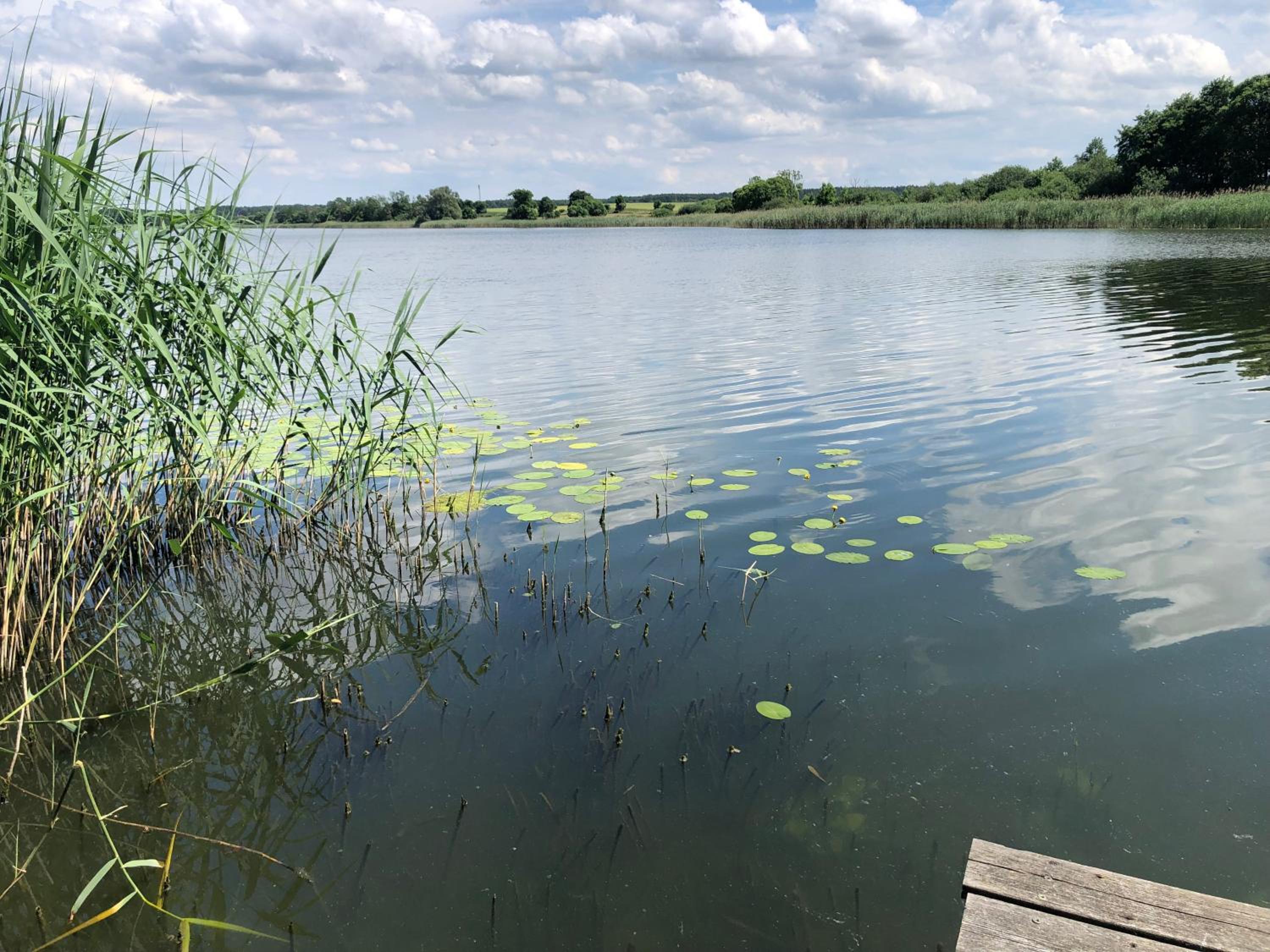Haus am See mit Steg, Boot, Kamin und Sauna - Mecklenburgische Seenplatte
