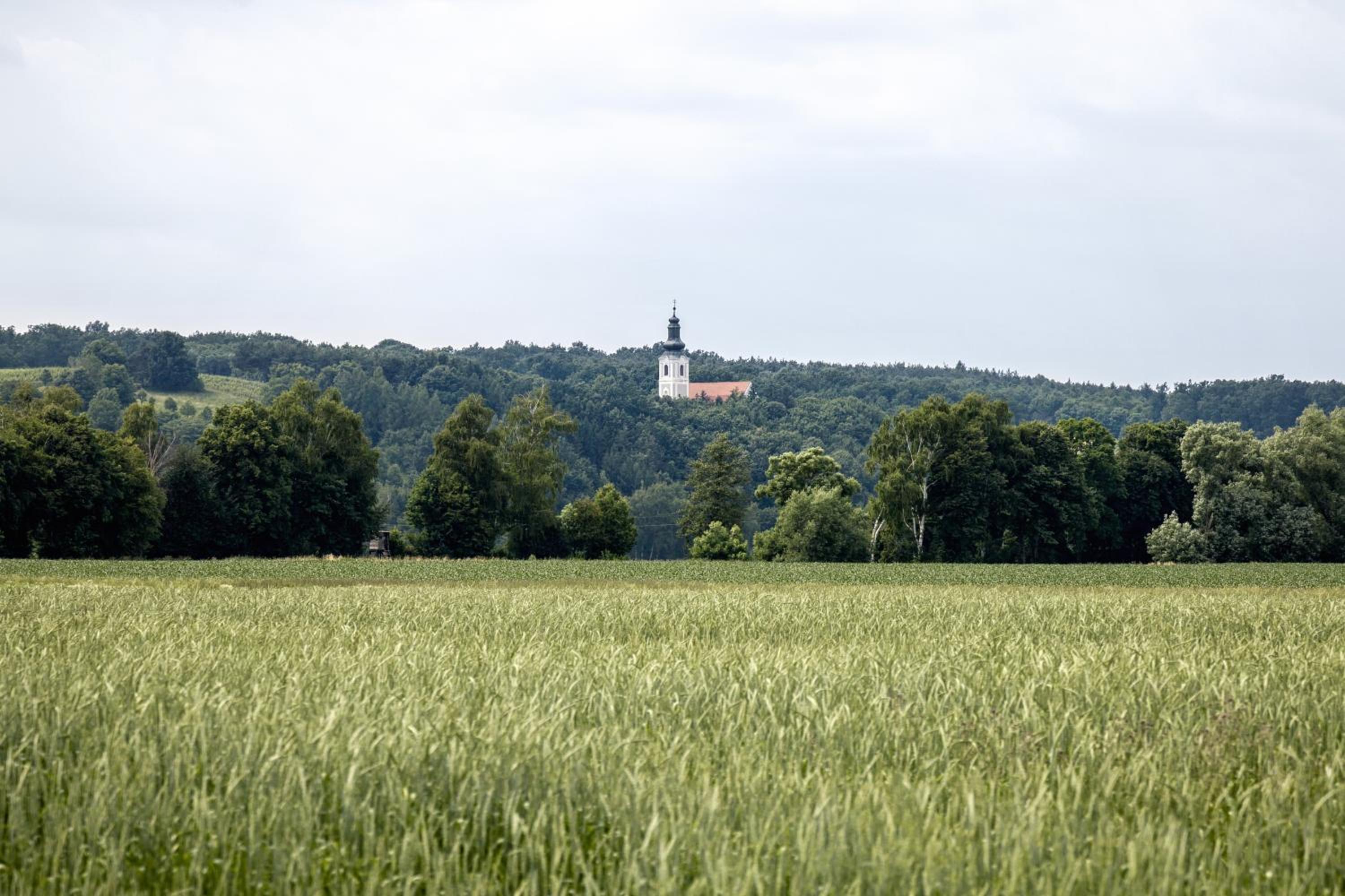 Kellerstöckl Gaaserberg