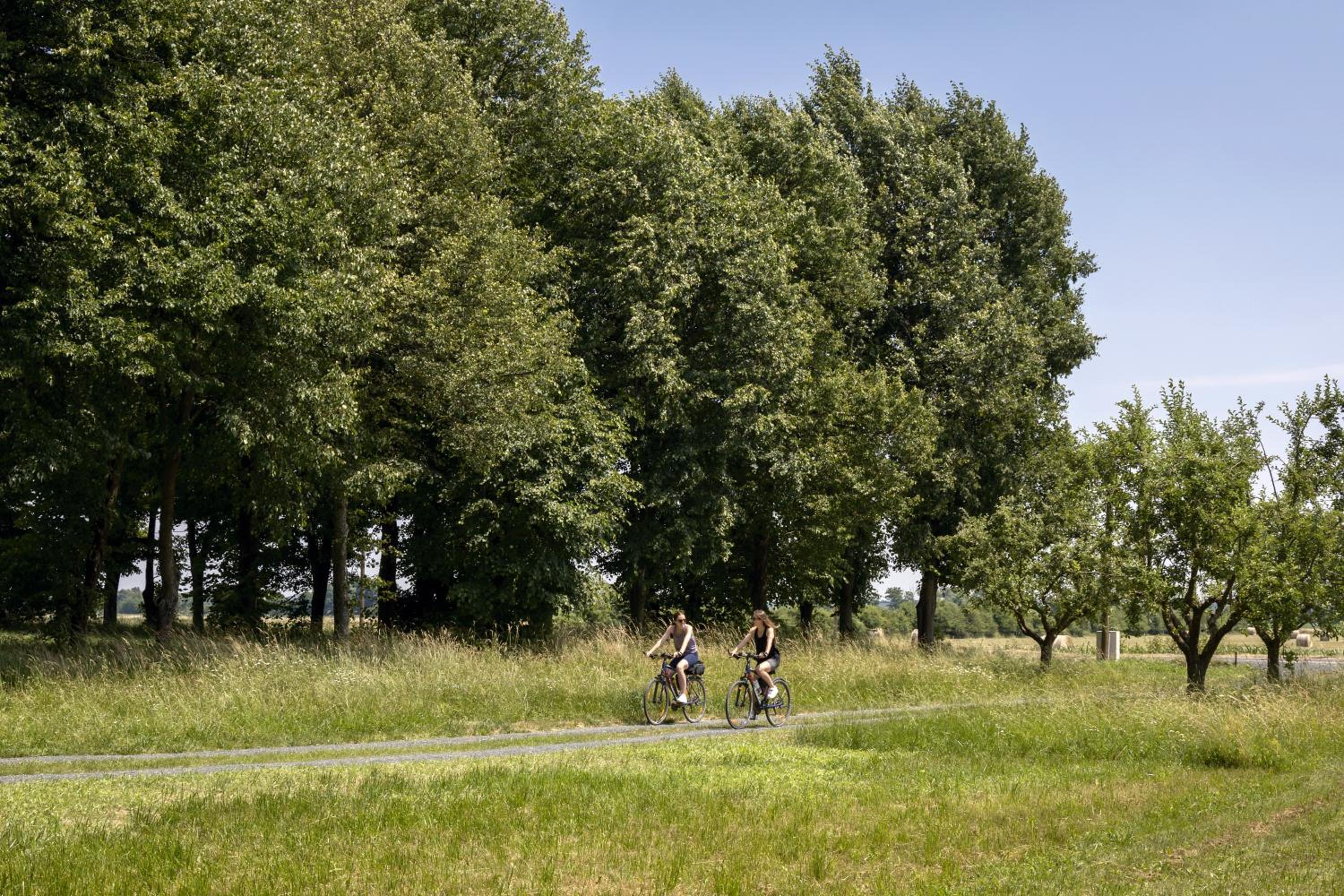 Kellerstöckl Gaaserberg