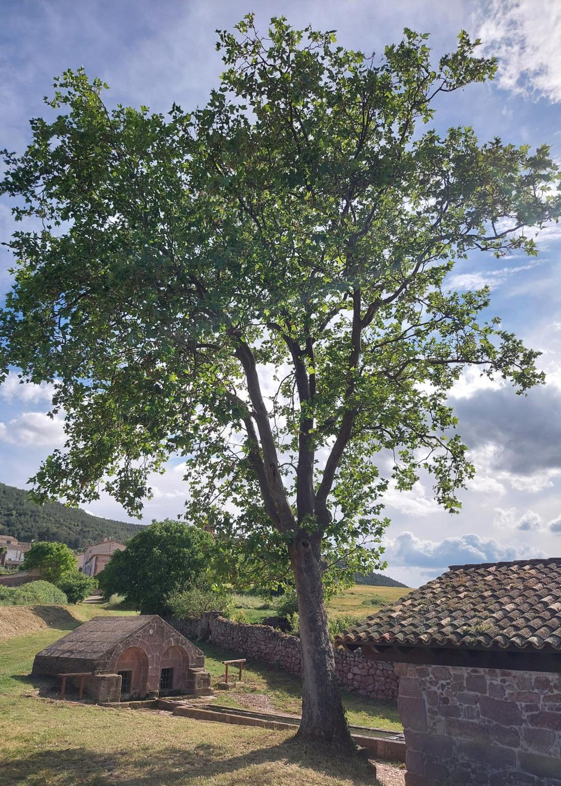 Hostal Rural Ioar