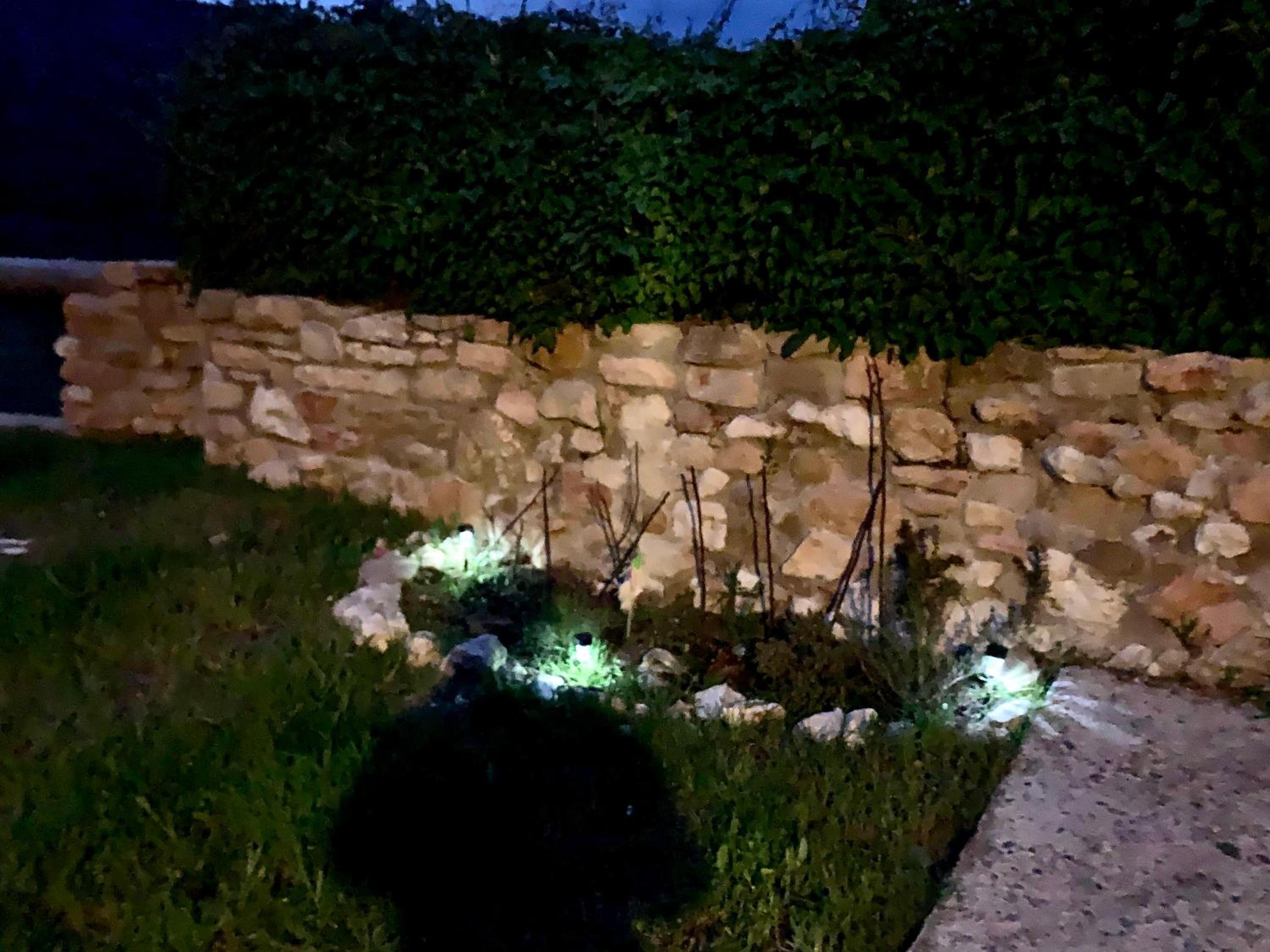 Photo 8